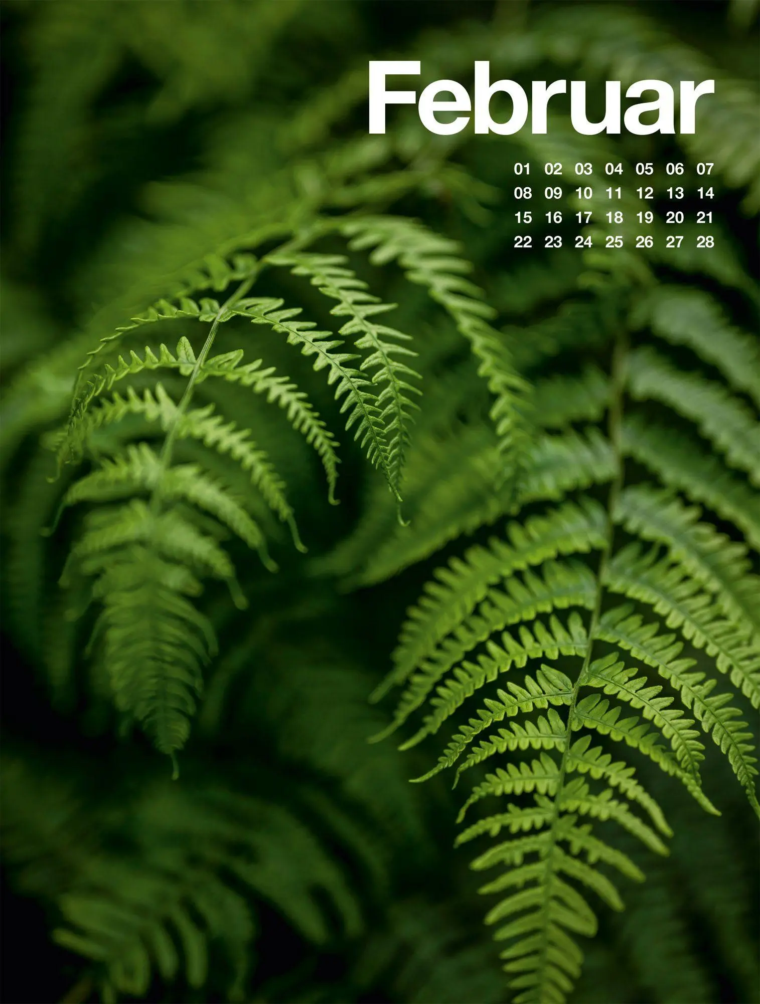 Bild: 9783838427812 | Frühling, Sommer, Herbst &amp; Winter Kalender 2027 | GmbH | Kalender