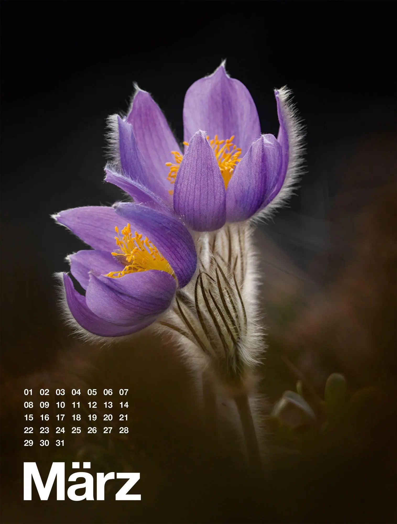Bild: 9783838427812 | Frühling, Sommer, Herbst &amp; Winter Kalender 2027 | GmbH | Kalender