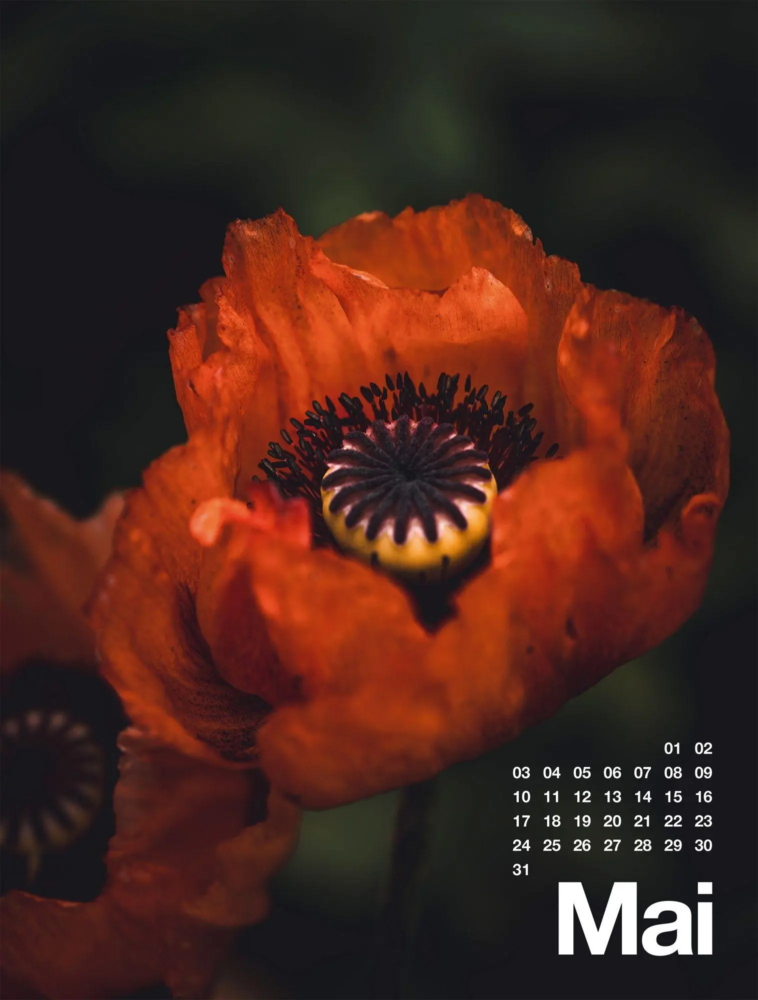 Bild: 9783838427812 | Frühling, Sommer, Herbst &amp; Winter Kalender 2027 | GmbH | Kalender