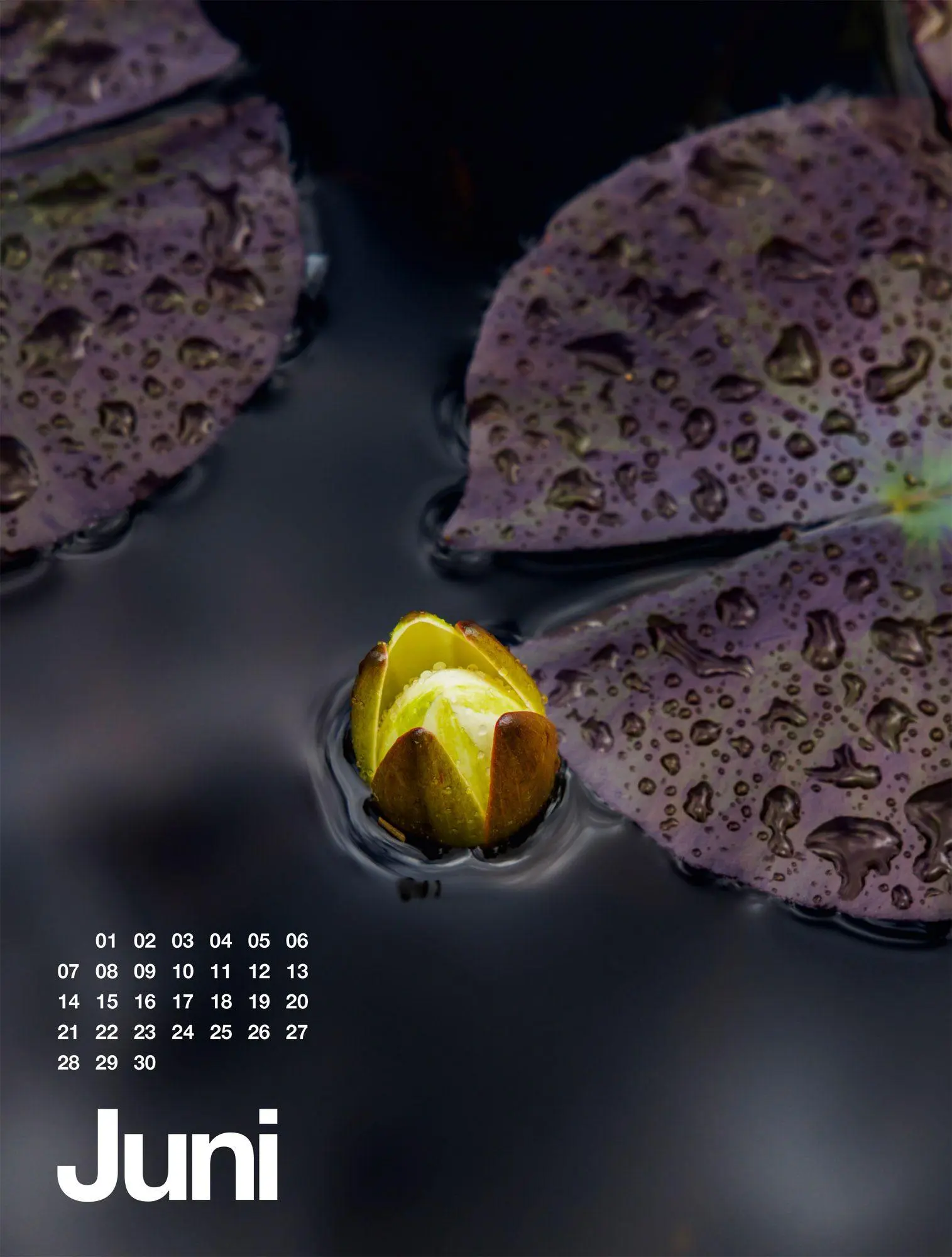 Bild: 9783838427812 | Frühling, Sommer, Herbst &amp; Winter Kalender 2027 | GmbH | Kalender