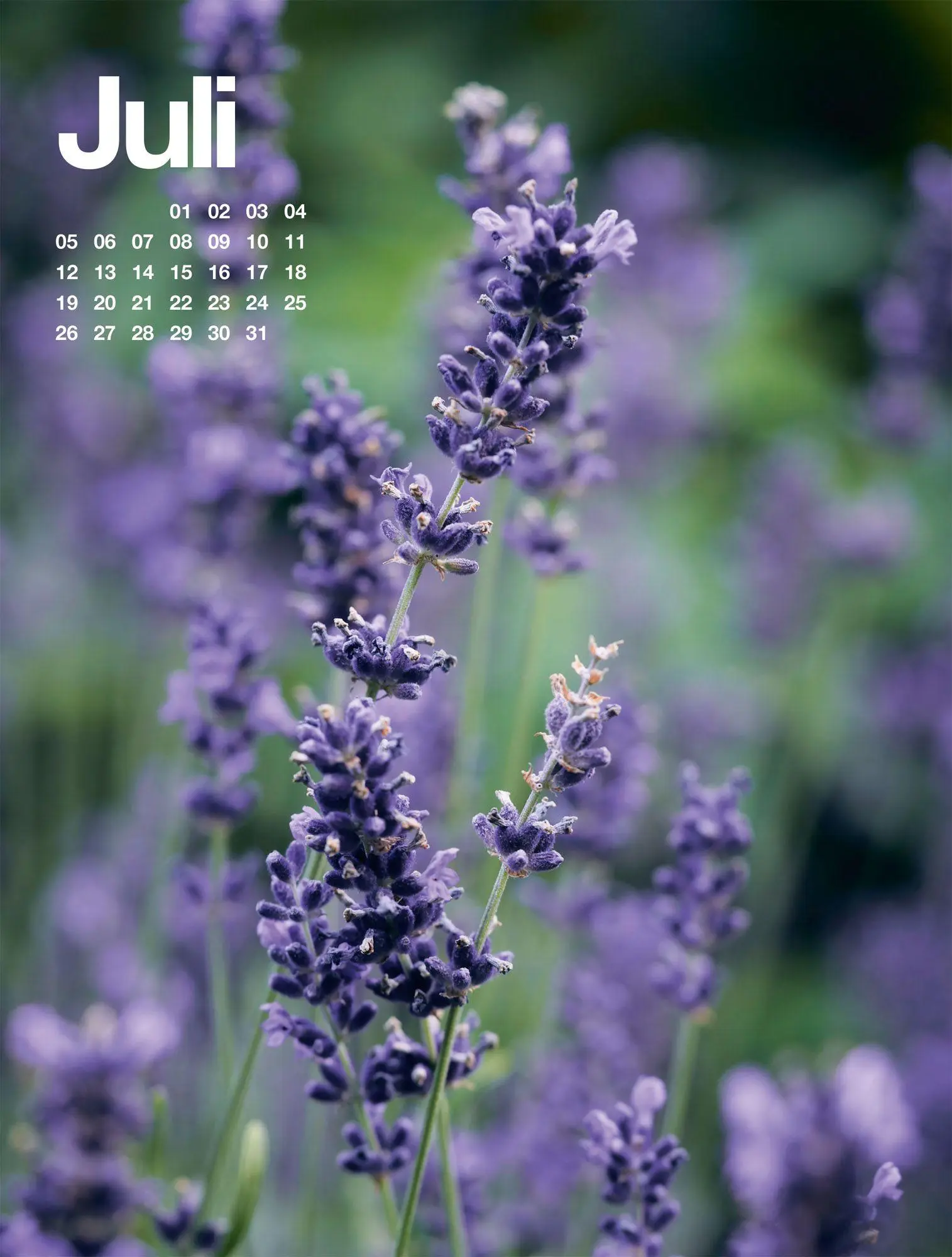 Bild: 9783838427812 | Frühling, Sommer, Herbst &amp; Winter Kalender 2027 | GmbH | Kalender