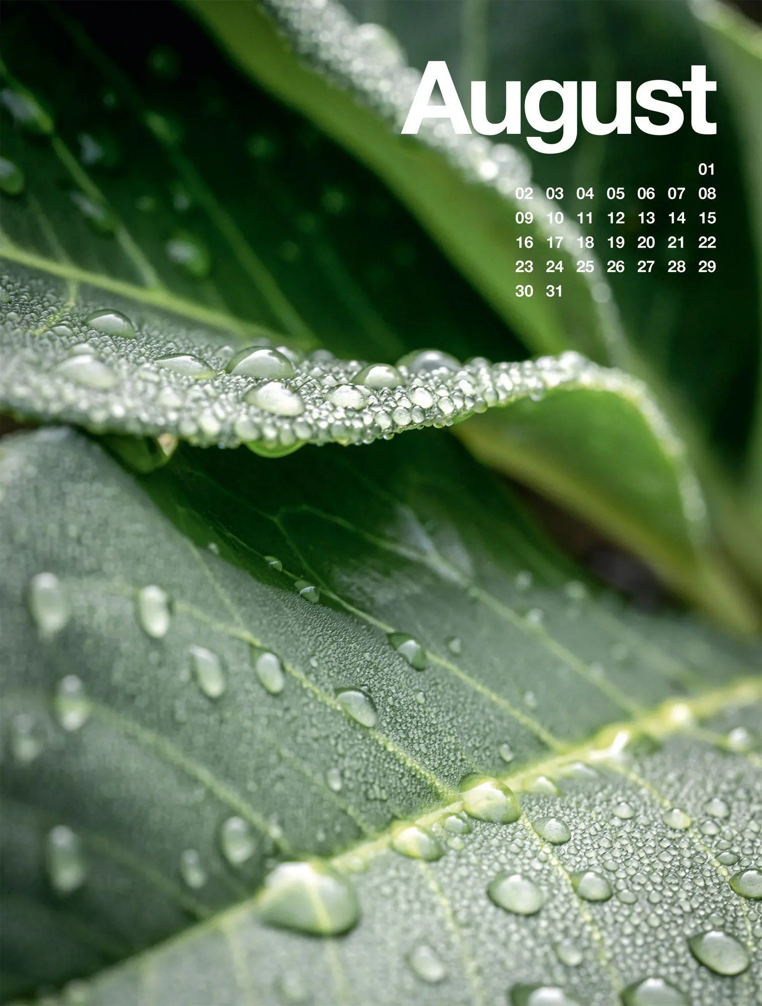 Bild: 9783838427812 | Frühling, Sommer, Herbst &amp; Winter Kalender 2027 | GmbH | Kalender