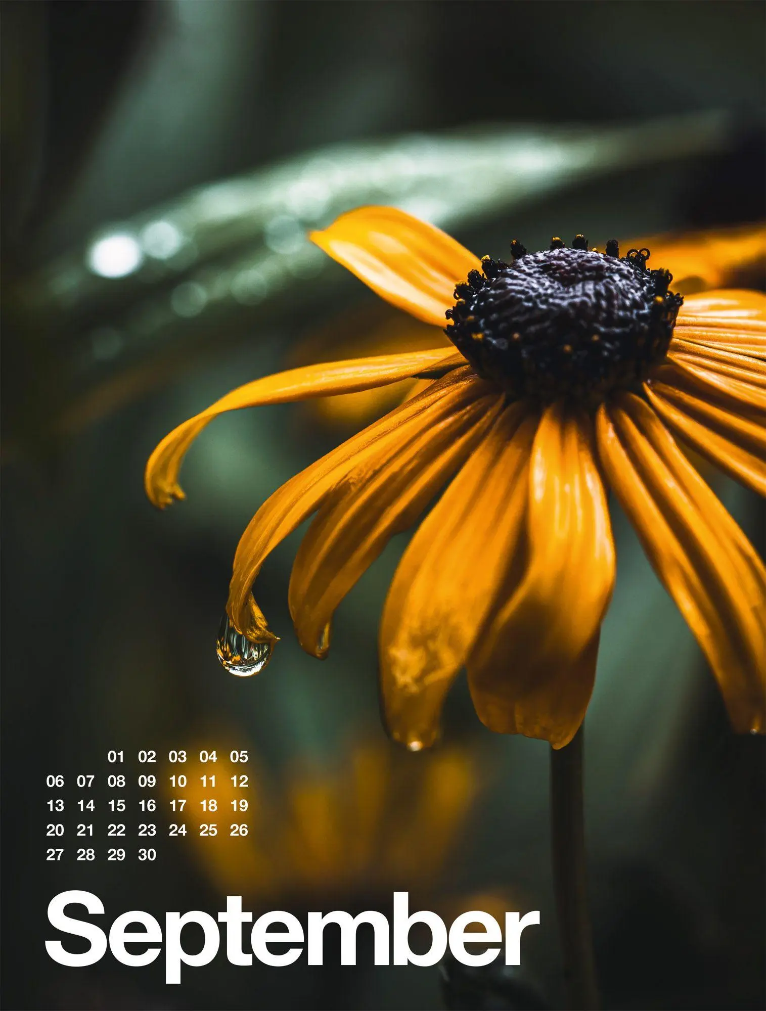 Bild: 9783838427812 | Frühling, Sommer, Herbst &amp; Winter Kalender 2027 | GmbH | Kalender