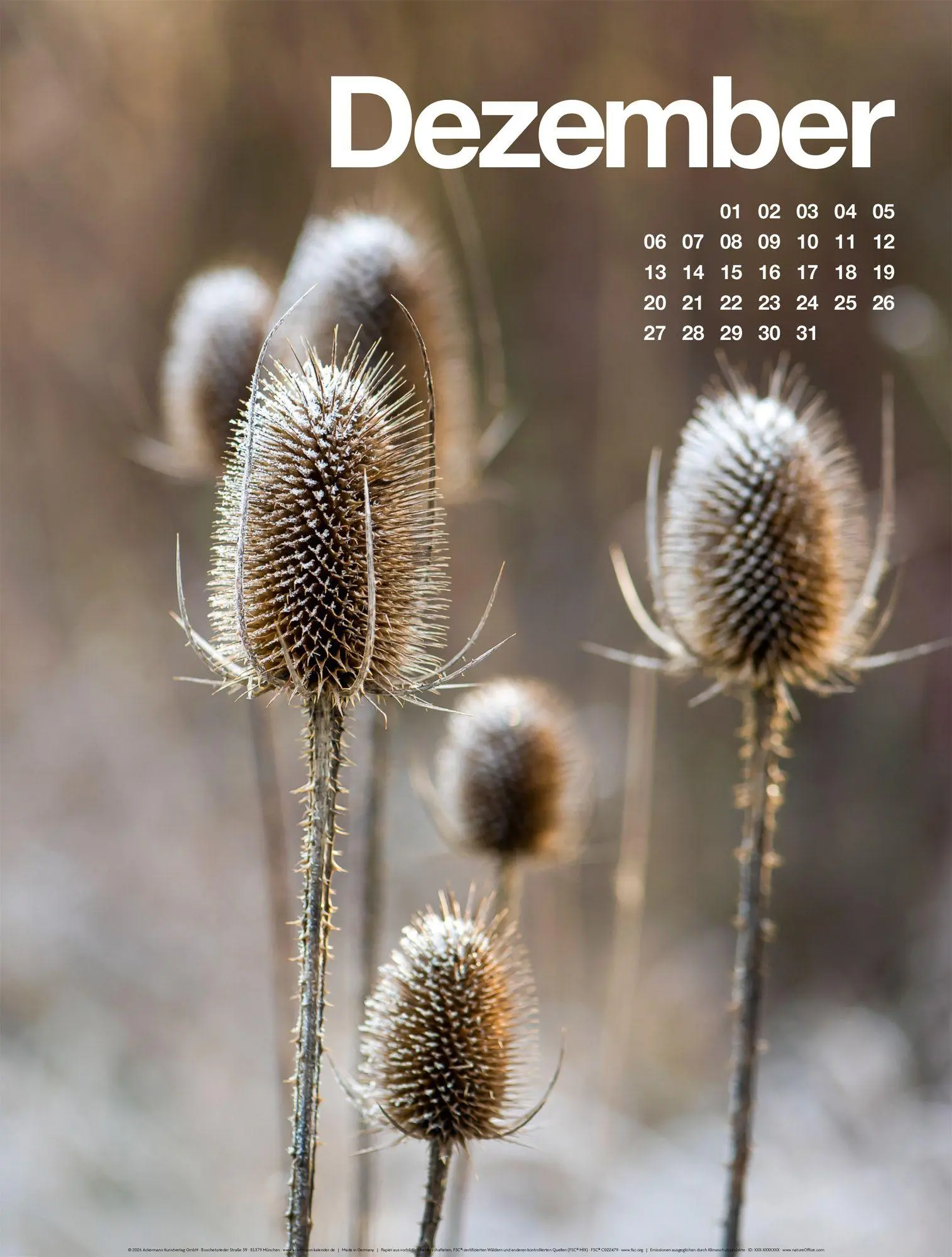 Bild: 9783838427812 | Frühling, Sommer, Herbst &amp; Winter Kalender 2027 | GmbH | Kalender