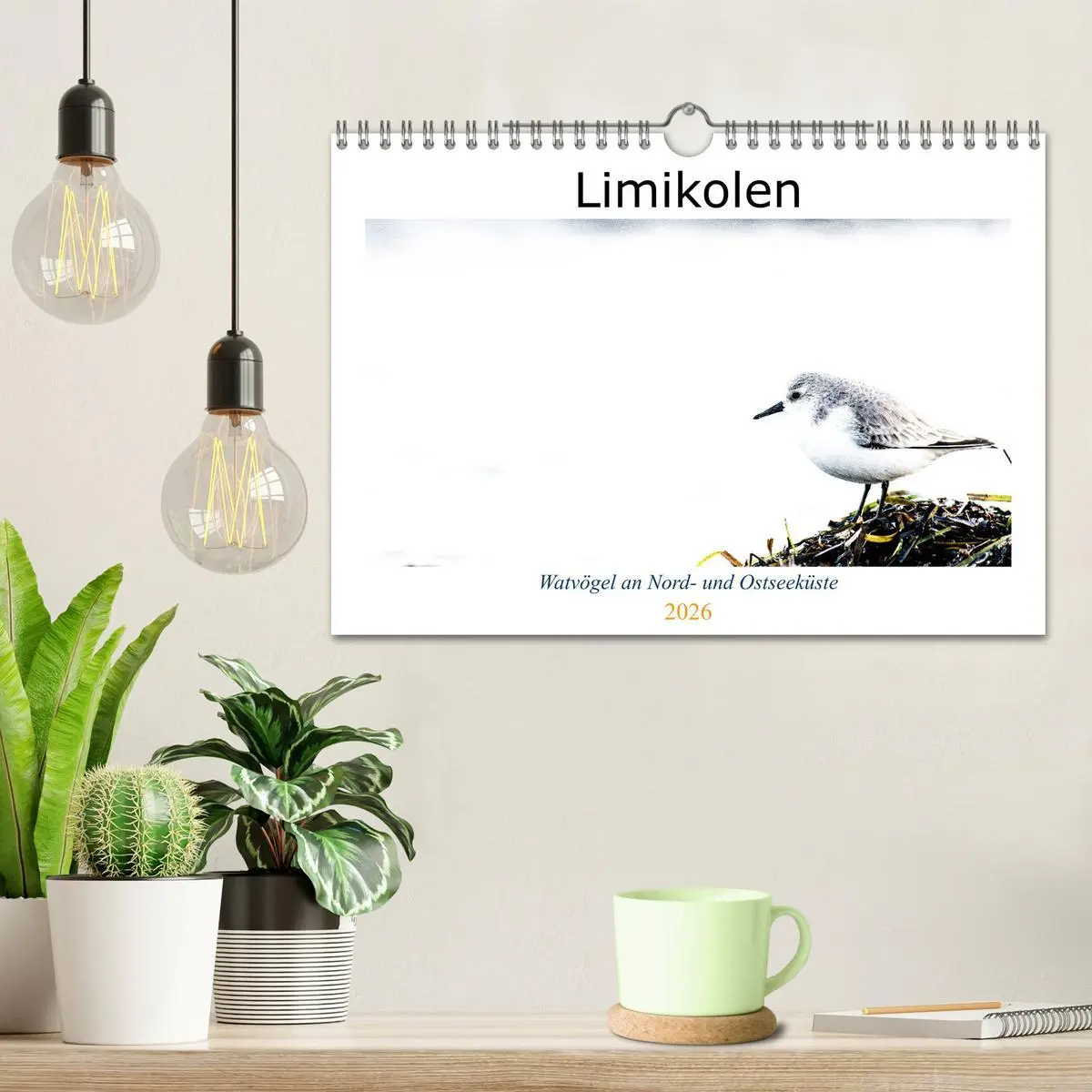 Bild: 9783457647912 | Limikolen - Watvögel an Nord- und Ostseeküste (Wandkalender 2026...