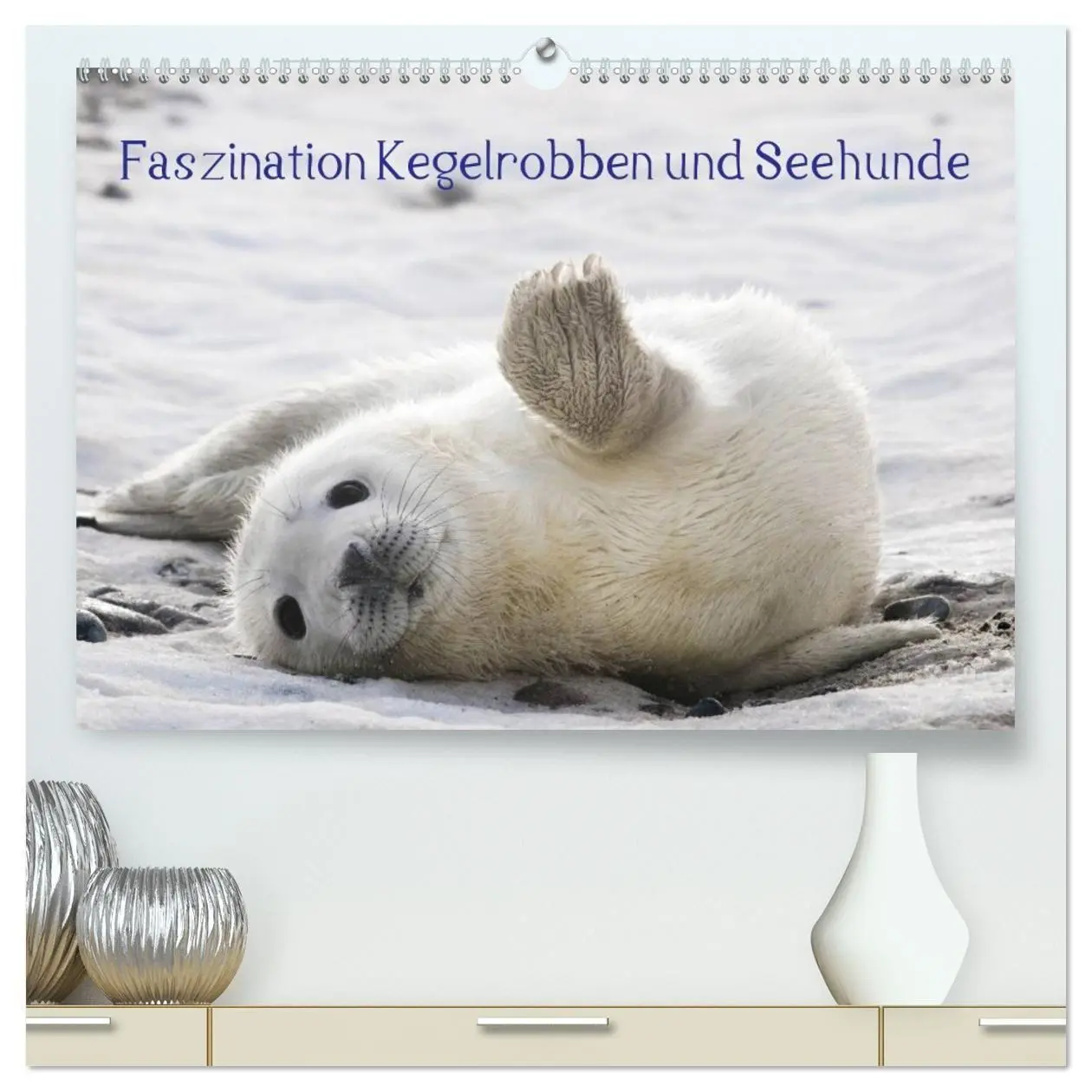Cover: 9783594027912 | Faszination Kegelrobben und Seehunde 2027 (hochwertiger Premium...