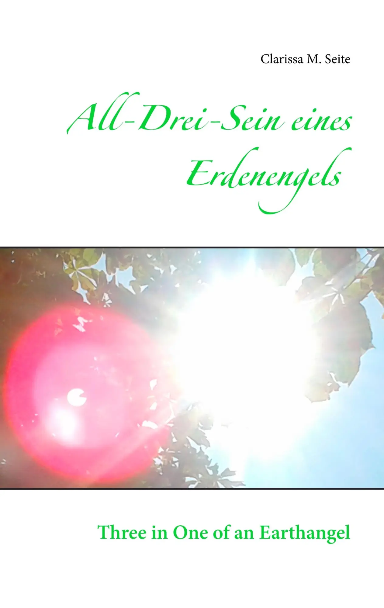 Cover: 9783746037912 | All-Drei-Sein eines Erdenengels | Three in One of an Earthangel | Buch