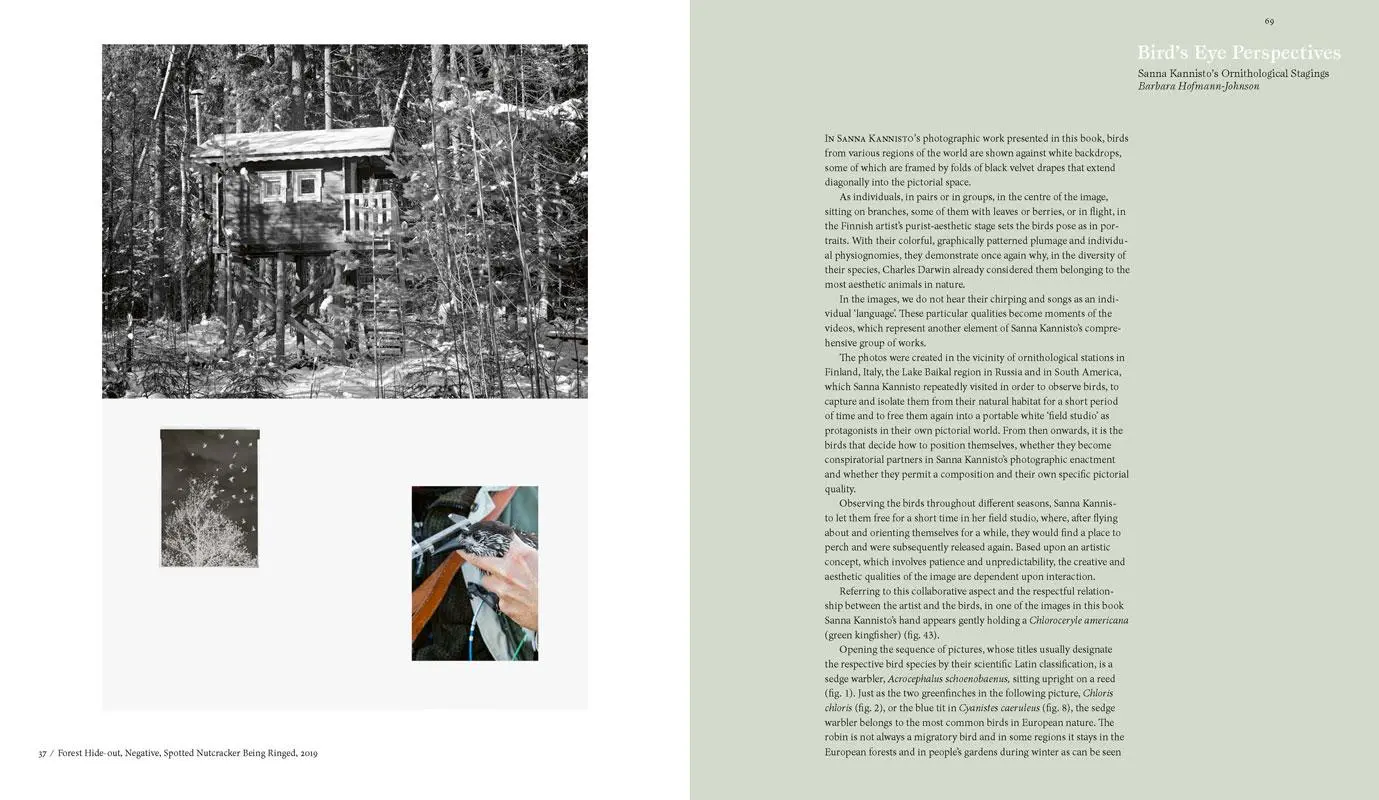 Bild: 9783775747912 | Sanna Kannisto | Observing Eye | Kannisto | Buch | Fotografie | 144 S.