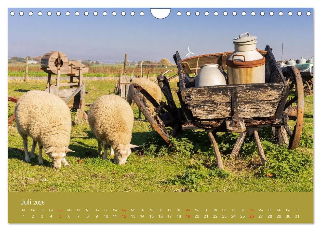 Bild: 9783457778012 | Mön, Impressionen einer dänischen Insel (Wandkalender 2026 DIN A4...