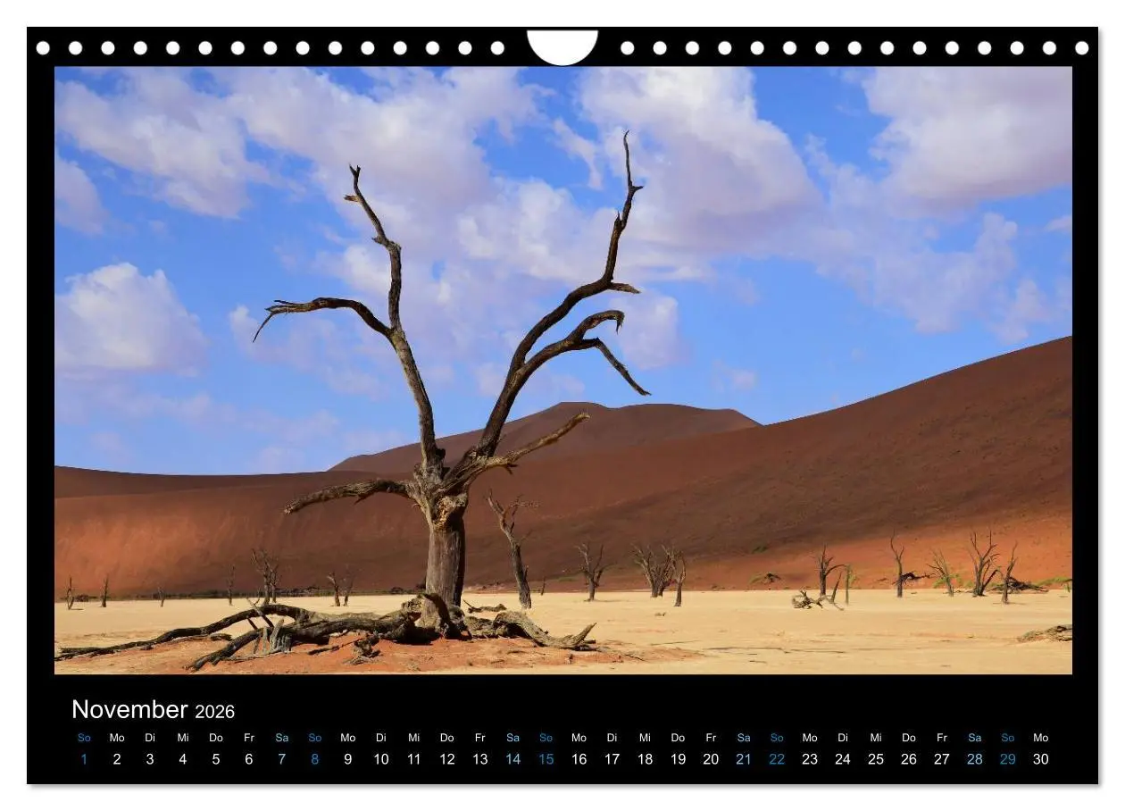 Bild: 9783516168112 | Namibia 2026 Farben der Wüste (Wandkalender 2026 DIN A4 quer),...