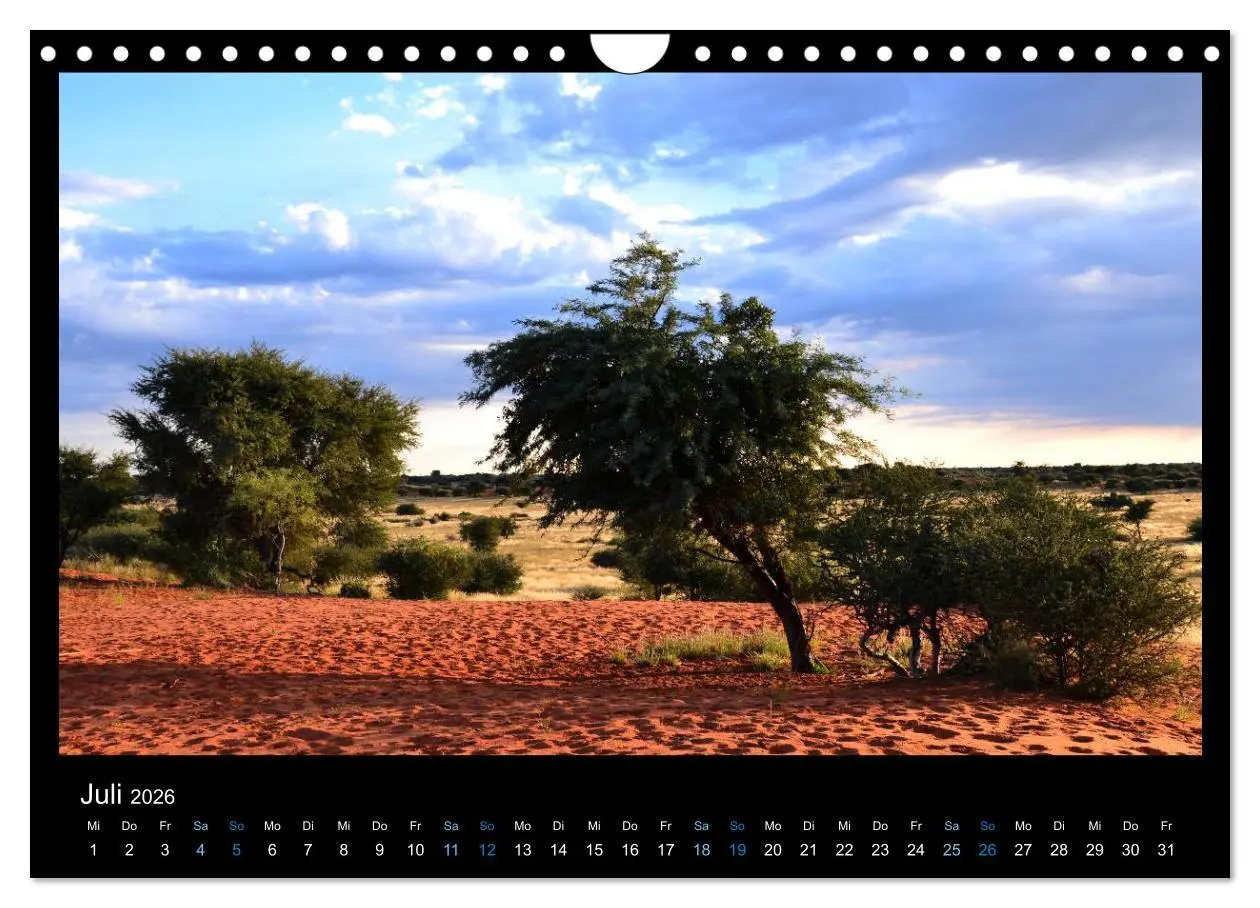 Bild: 9783516168112 | Namibia 2026 Farben der Wüste (Wandkalender 2026 DIN A4 quer),...