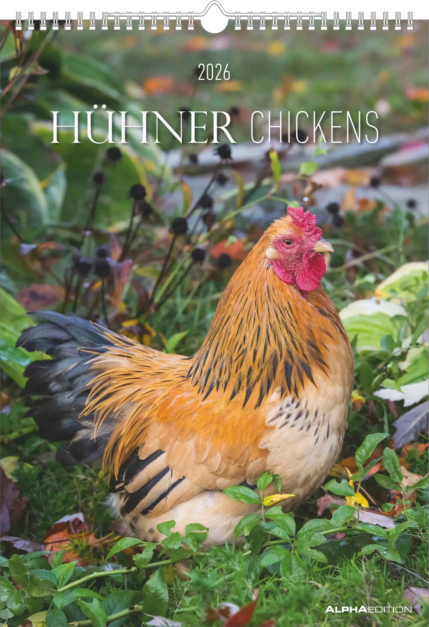 Cover: 4069095008212 | Hühner Kalender im Format 29,7 x 42 | Alpha Edition | Kalender | 14 S.