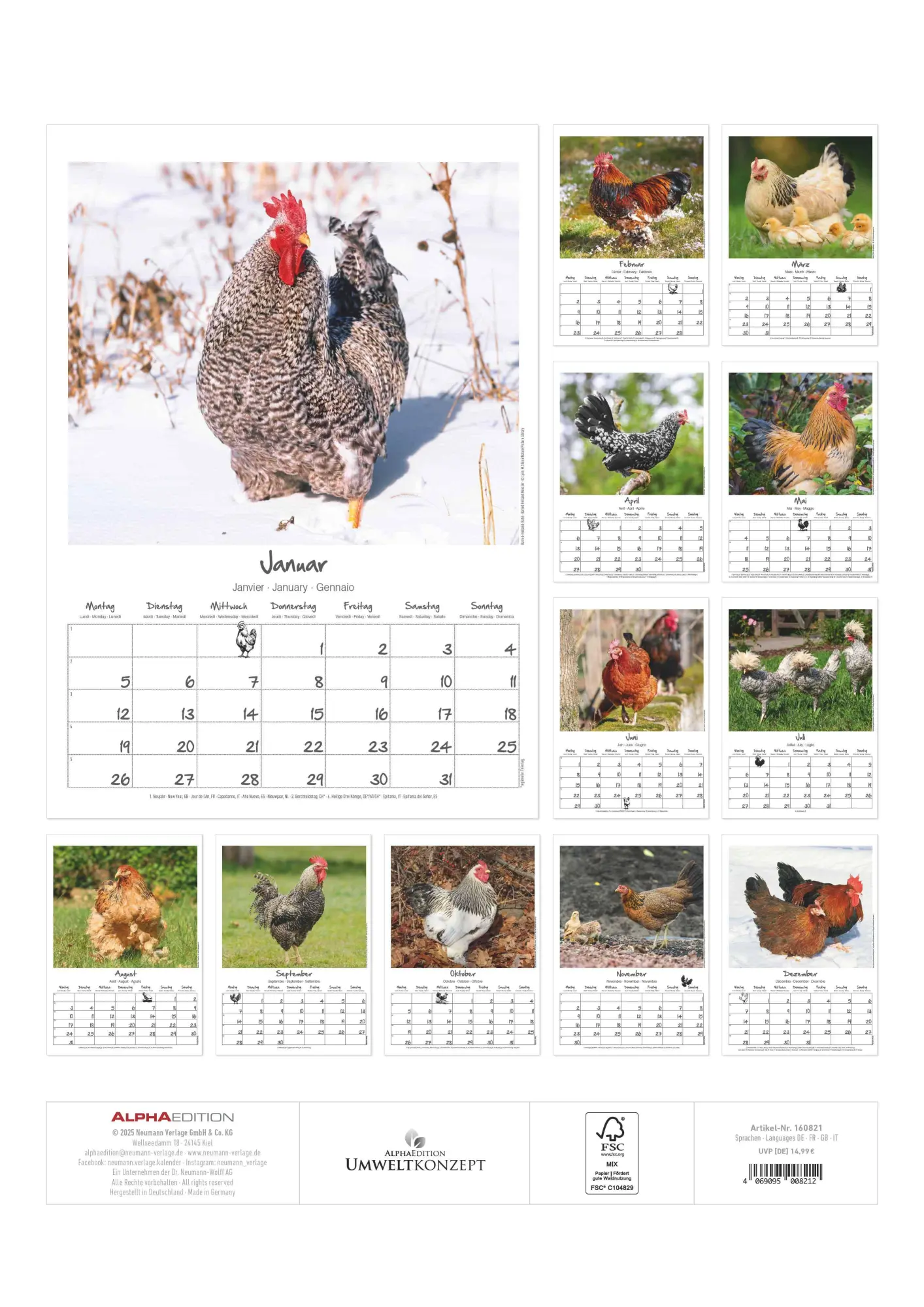 Rückseite: 4069095008212 | Hühner Kalender im Format 29,7 x 42 | Alpha Edition | Kalender | 14 S.