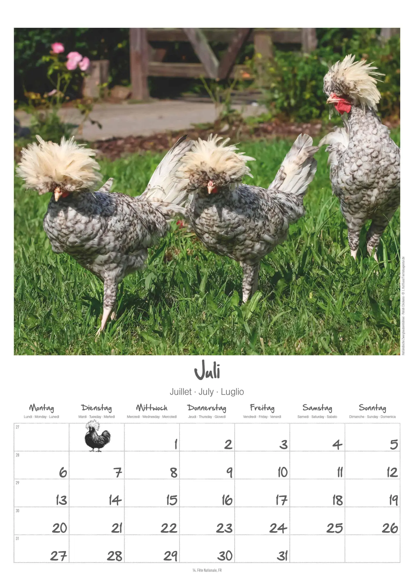 Bild: 4069095008212 | Hühner Kalender im Format 29,7 x 42 | Alpha Edition | Kalender | 14 S.
