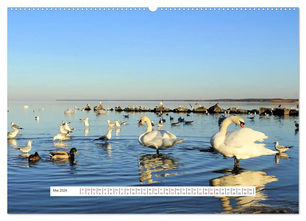 Bild: 9783457448212 | Region Ueckermünde (hochwertiger Premium Wandkalender 2026 DIN A2...