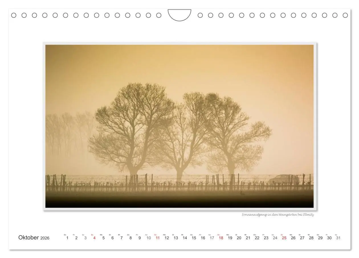 Bild: 9783516228212 | Neusiedler See / CH-Version (Wandkalender 2026 DIN A4 quer),...