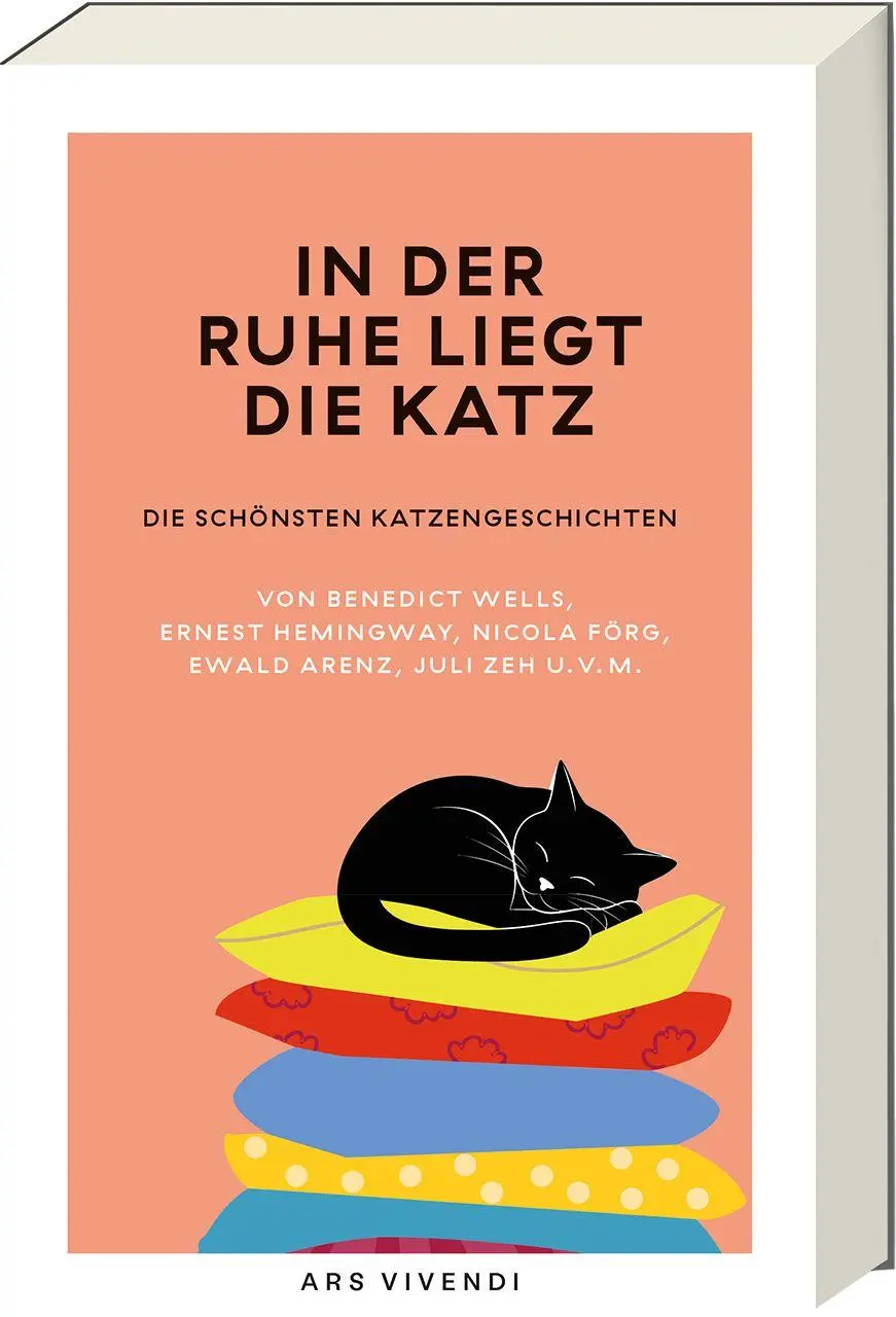 Cover: 9783747208212 | In der Ruhe liegt die Katz | Frank N. Wirth | Taschenbuch | 250 S.