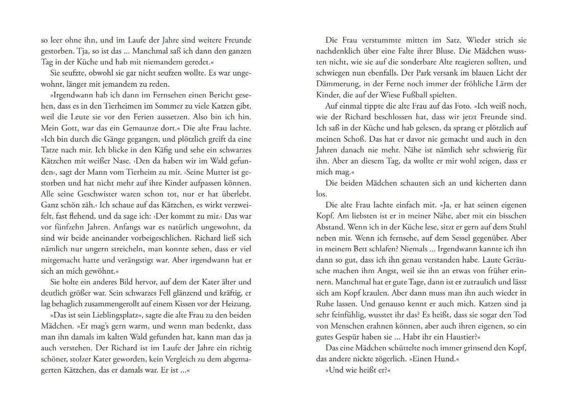 Bild: 9783747208212 | In der Ruhe liegt die Katz | Frank N. Wirth | Taschenbuch | 250 S.