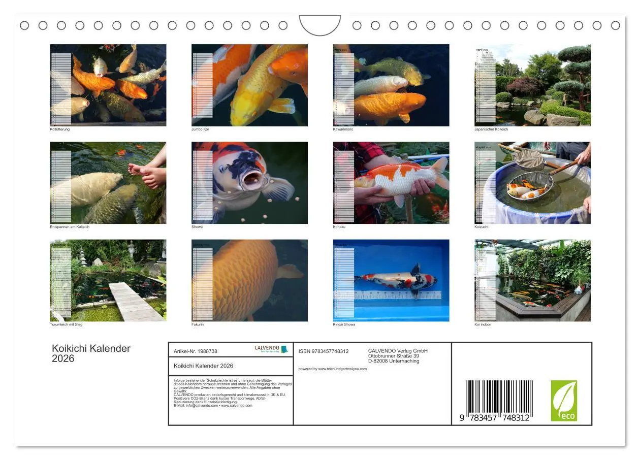 Bild: 9783457748312 | Koikichi Kalender 2026 (Wandkalender 2026 DIN A4 quer), CALVENDO...