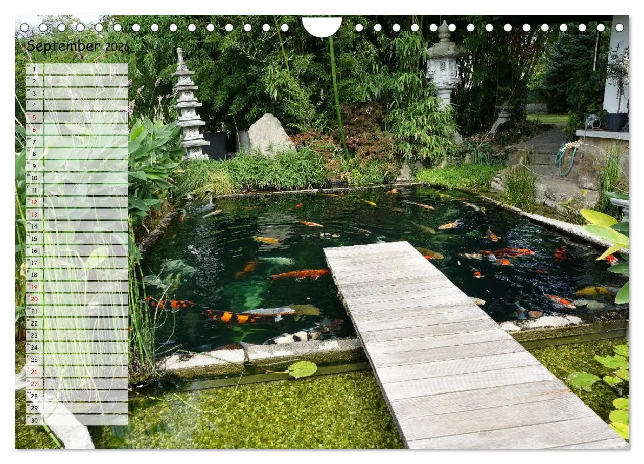 Bild: 9783457748312 | Koikichi Kalender 2026 (Wandkalender 2026 DIN A4 quer), CALVENDO...