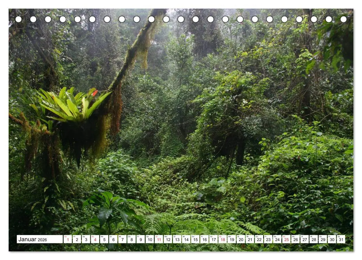 Bild: 9783516148312 | Madagaskar (Tischkalender 2026 DIN A5 quer), CALVENDO Monatskalender