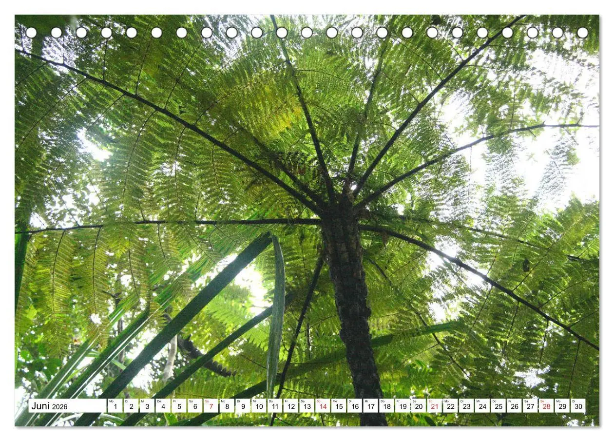 Bild: 9783516148312 | Madagaskar (Tischkalender 2026 DIN A5 quer), CALVENDO Monatskalender