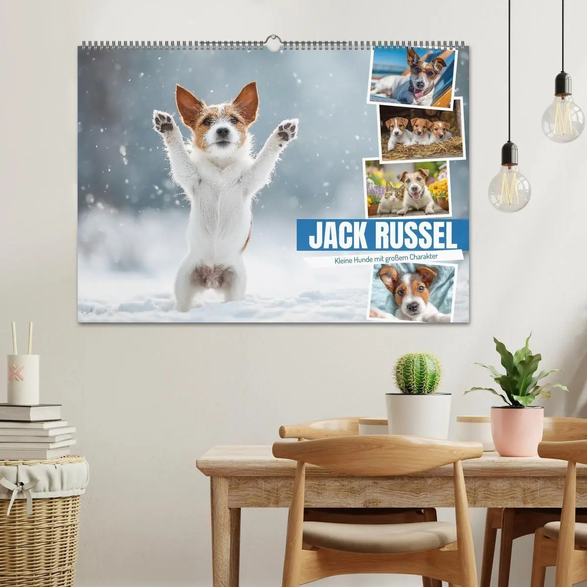 Bild: 9783516698312 | JACK RUSSEL - Kleine Hunde mit großem Charakter (Wandkalender 2026...