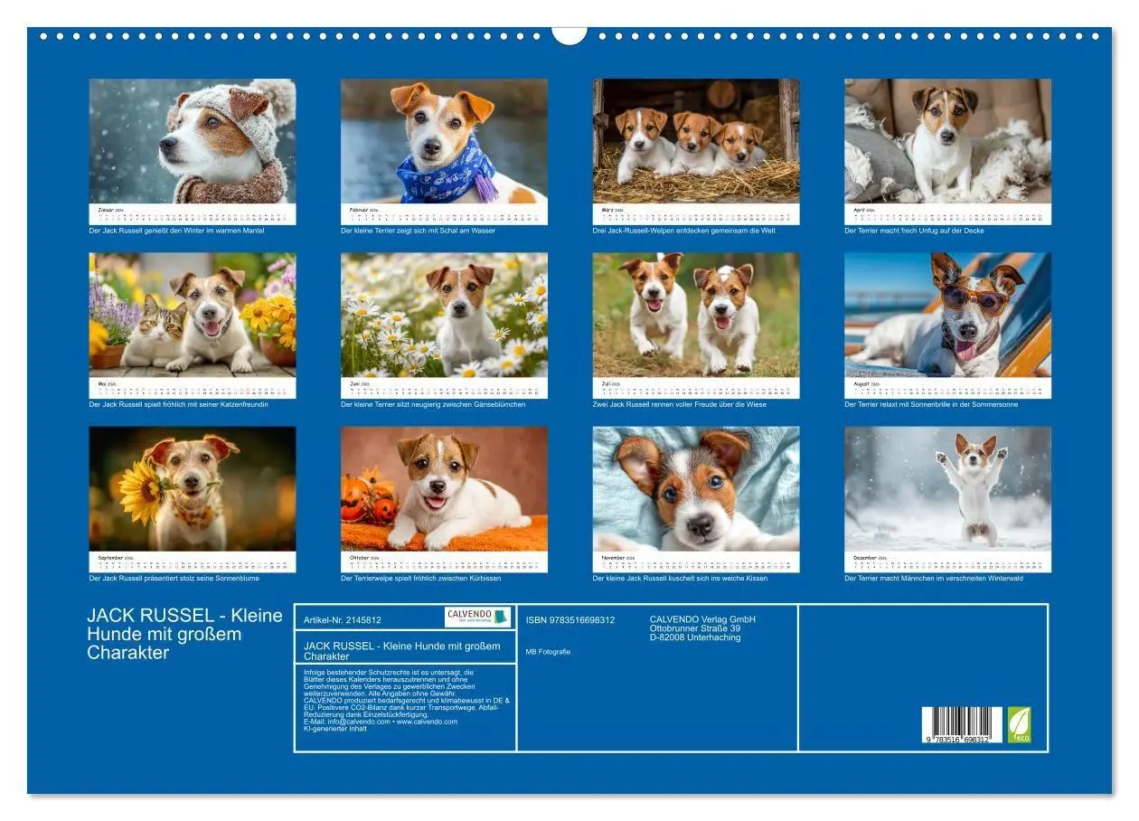 Bild: 9783516698312 | JACK RUSSEL - Kleine Hunde mit großem Charakter (Wandkalender 2026...