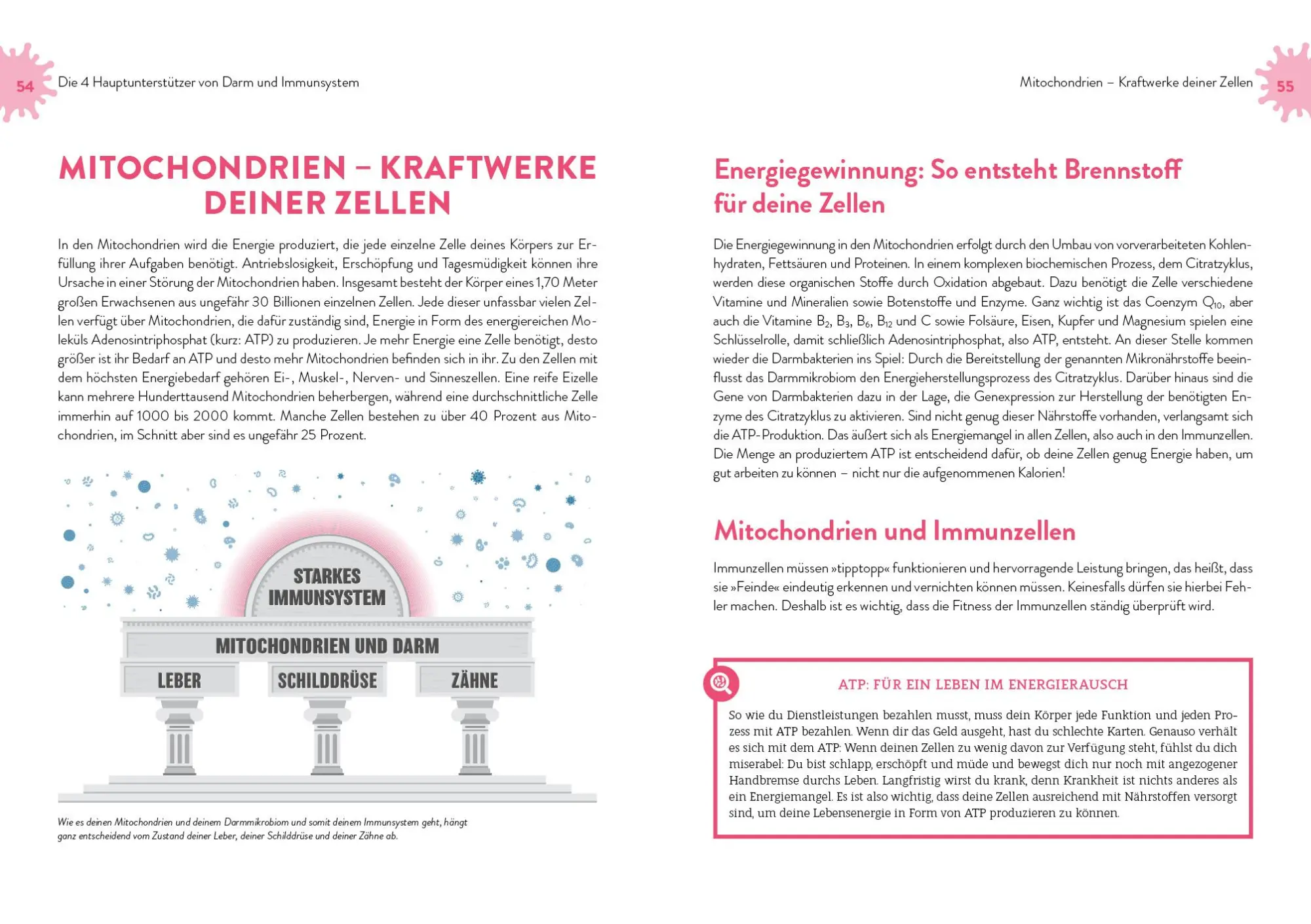 Bild: 9783742318312 | Immunpower | Friederike Feil | Taschenbuch | 4-farbig | 224 S. | 2021