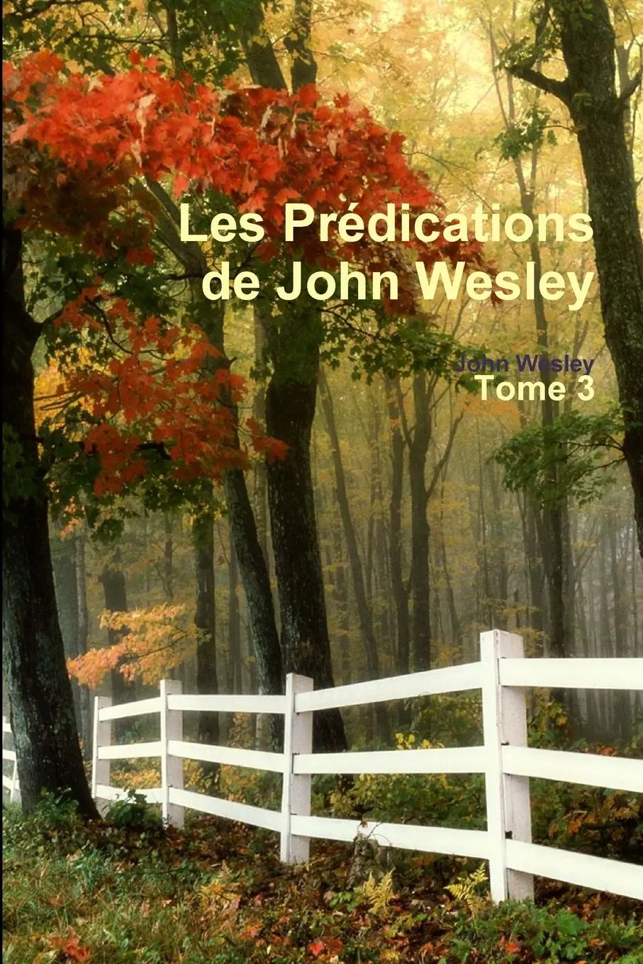 Cover: 9780244638412 | Les Prédications de John Wesley - Tome 3 | John Wesley | Taschenbuch