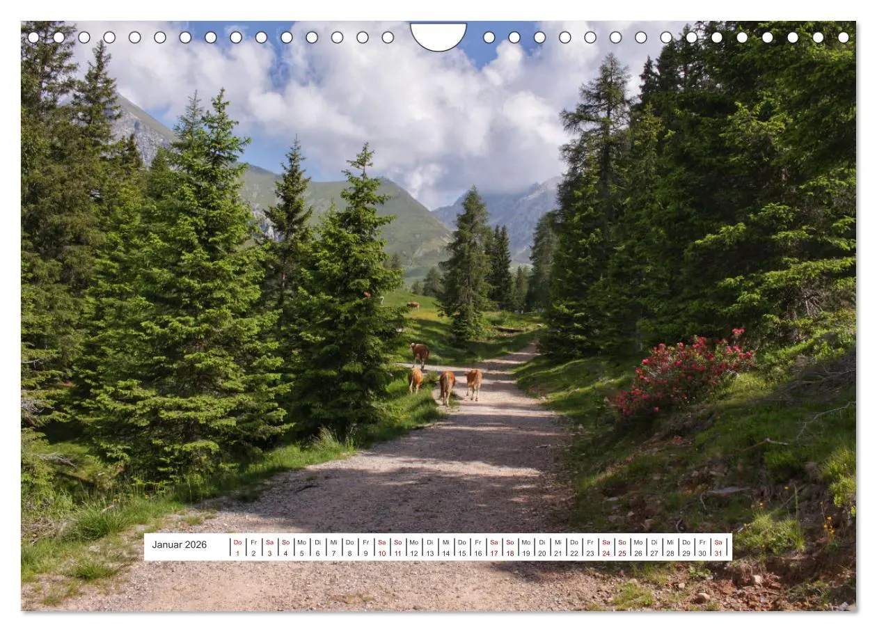 Bild: 9783457598412 | Zauber der Berglandschaft (Wandkalender 2026 DIN A4 quer), CALVENDO...