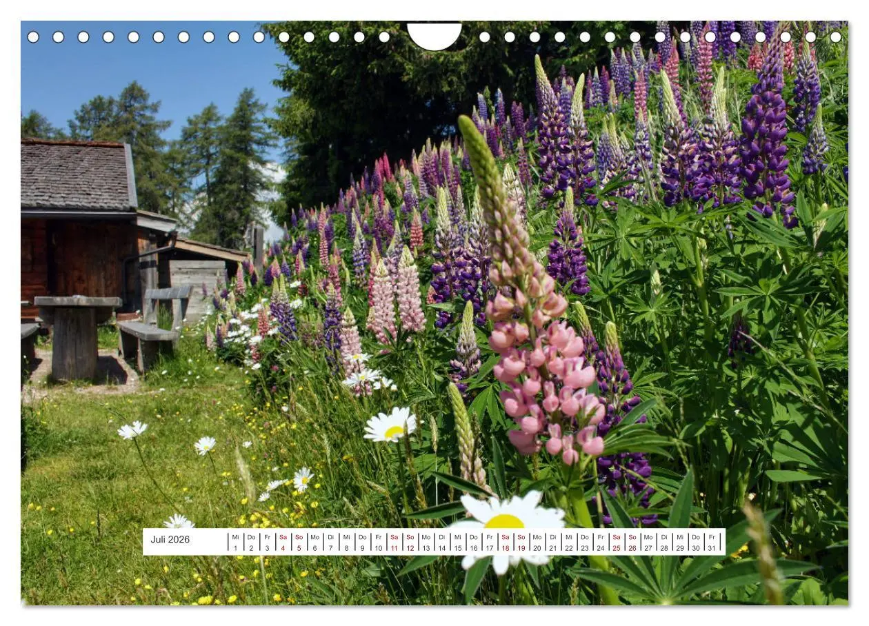 Bild: 9783457598412 | Zauber der Berglandschaft (Wandkalender 2026 DIN A4 quer), CALVENDO...