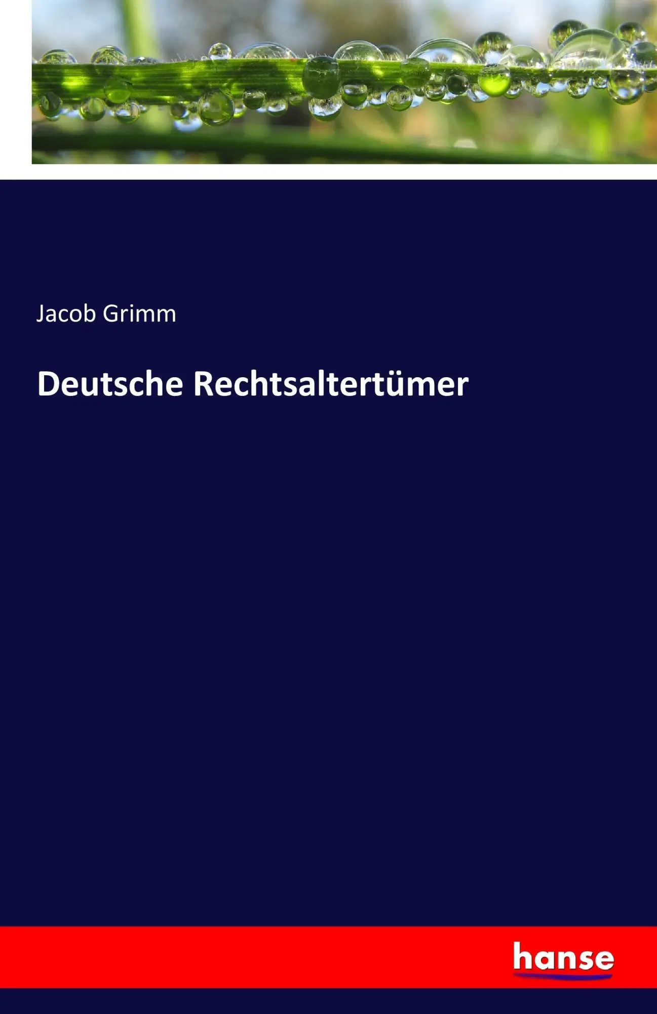 Cover: 9783742858412 | Deutsche Rechtsaltertümer | Jacob Grimm | Taschenbuch | 712 S. | 2017