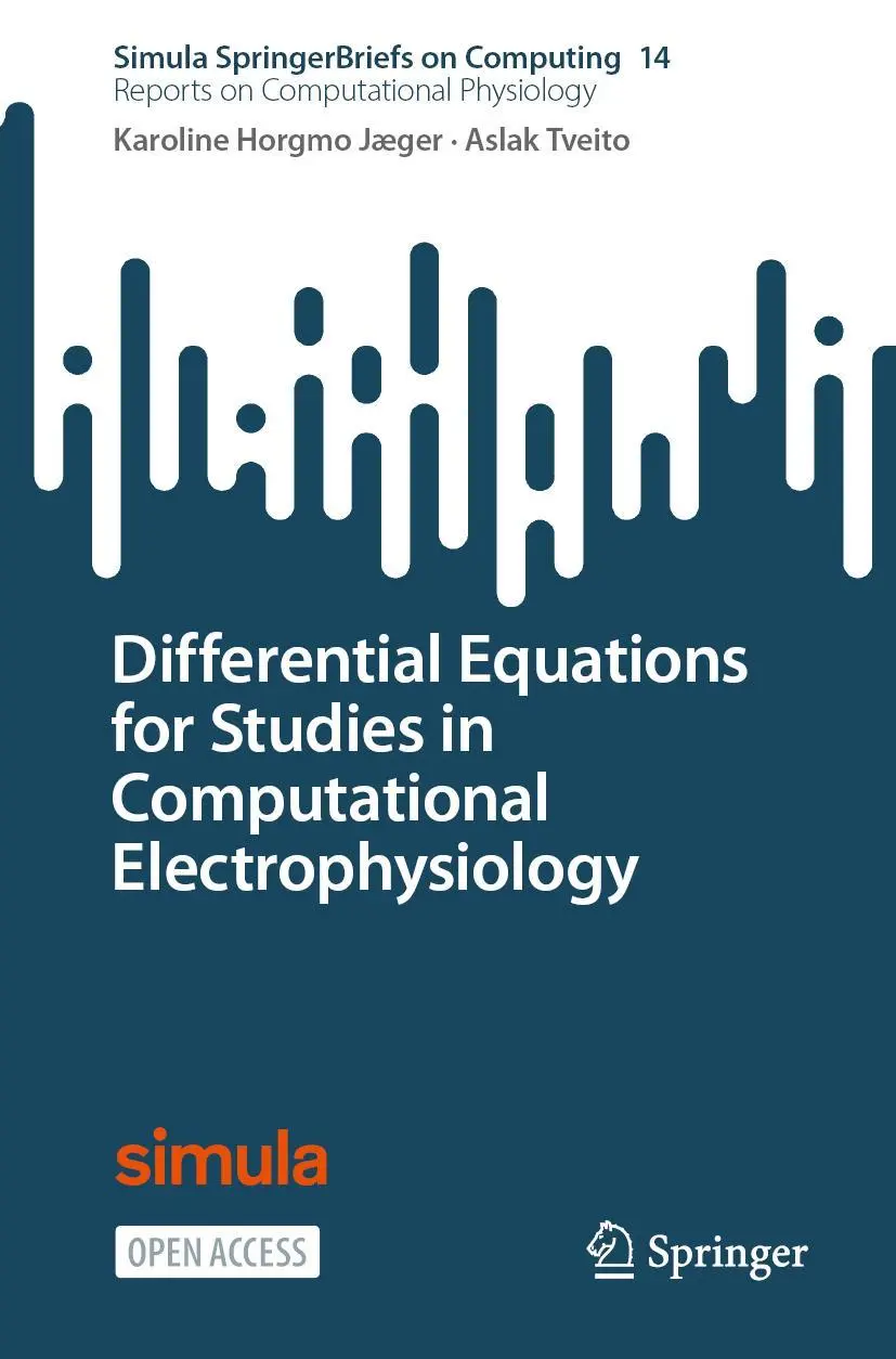 Differential Equations for Studies in Computational Electrophysiology - Karoline Horgmo Jæger Aslak Tveito Kartoniert (TB)