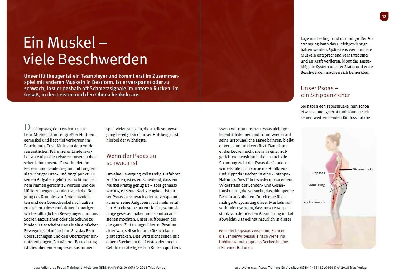 Bild: 9783432118512 | Psoas-Training für Vielsitzer | Kristin Adler (u. a.) | Taschenbuch