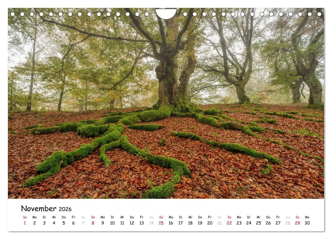 Bild: 9783457278512 | Fotogenes Nordhessen (Wandkalender 2026 DIN A4 quer), CALVENDO...