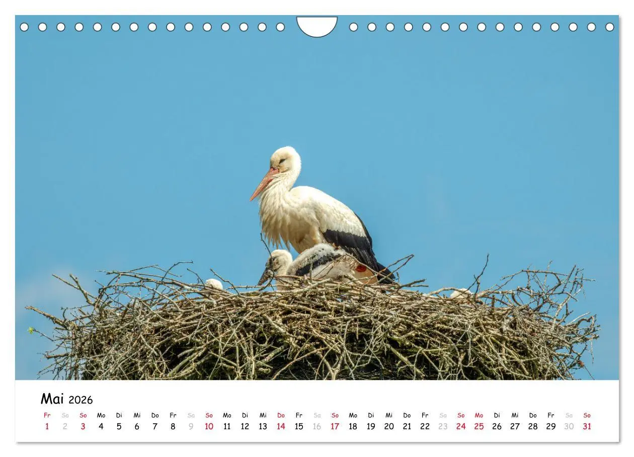 Bild: 9783457278512 | Fotogenes Nordhessen (Wandkalender 2026 DIN A4 quer), CALVENDO...