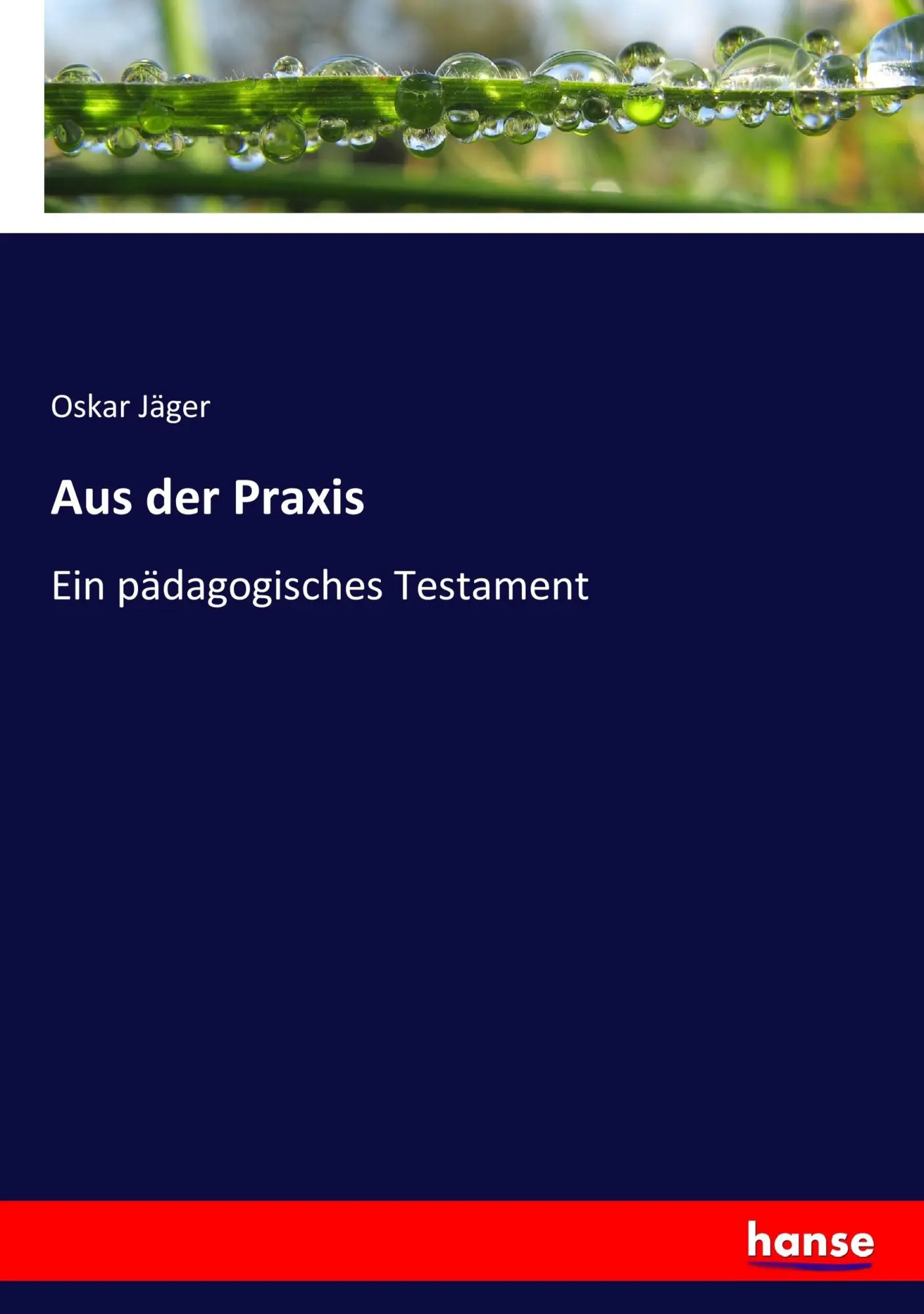 Cover: 9783743698512 | Aus der Praxis | Ein pädagogisches Testament | Oskar Jäger | Buch