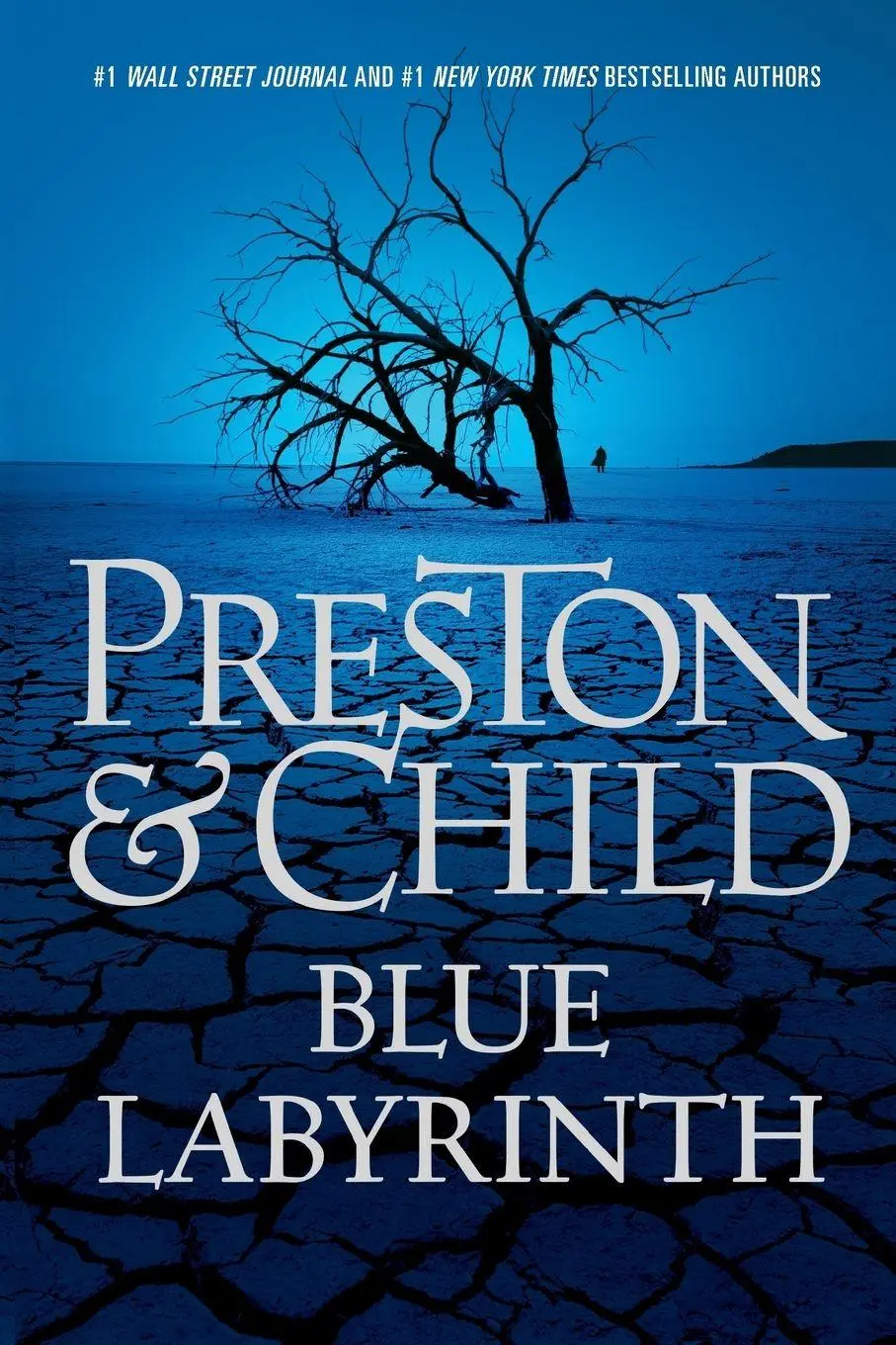 Cover: 9781455558612 | Blue Labyrinth | Douglas Preston (u. a.) | Taschenbuch | 403 S. | 2014