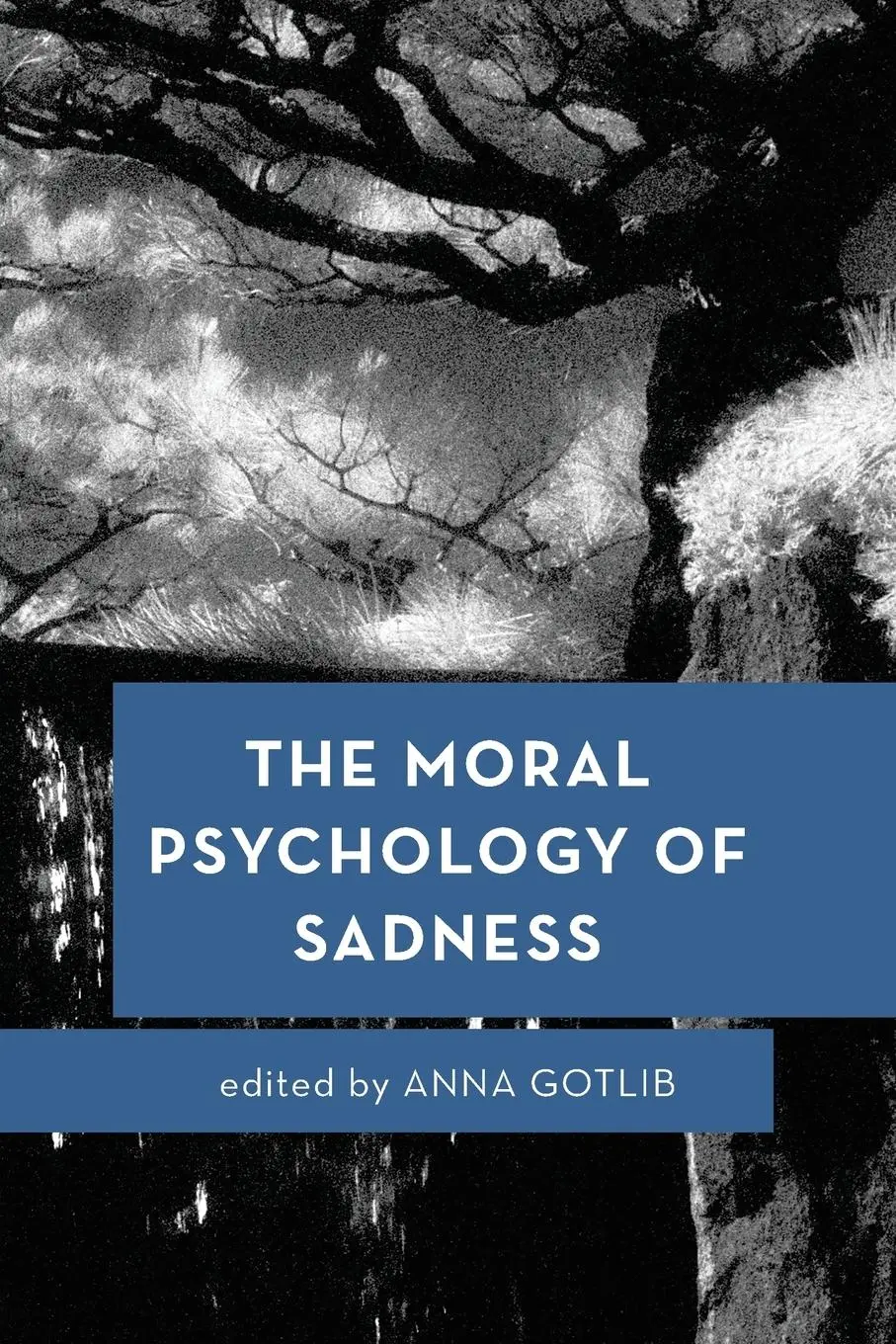 Cover: 9781783488612 | The Moral Psychology of Sadness | Anna Gotlib | Taschenbuch | Englisch