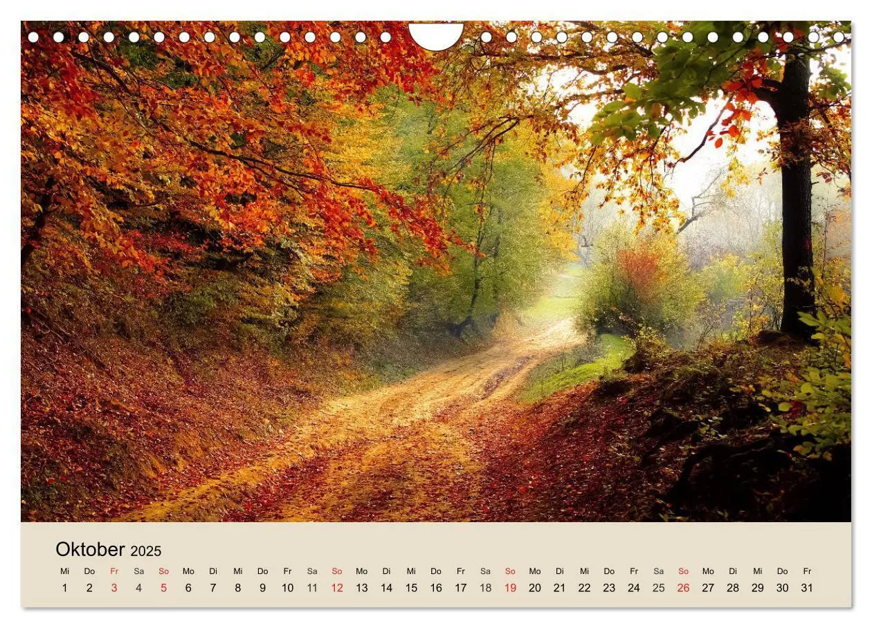 Bild: 9783435318612 | Der Wald. Durch zauberhafte Waldlandschaften (Wandkalender 2025 DIN...