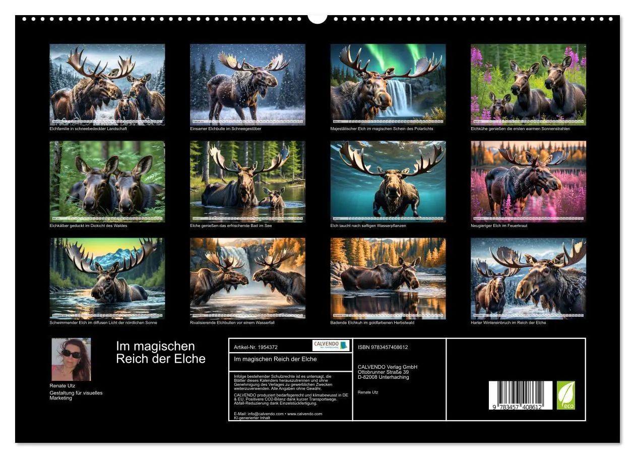 Bild: 9783457408612 | Im magischen Reich der Elche (hochwertiger Premium Wandkalender...
