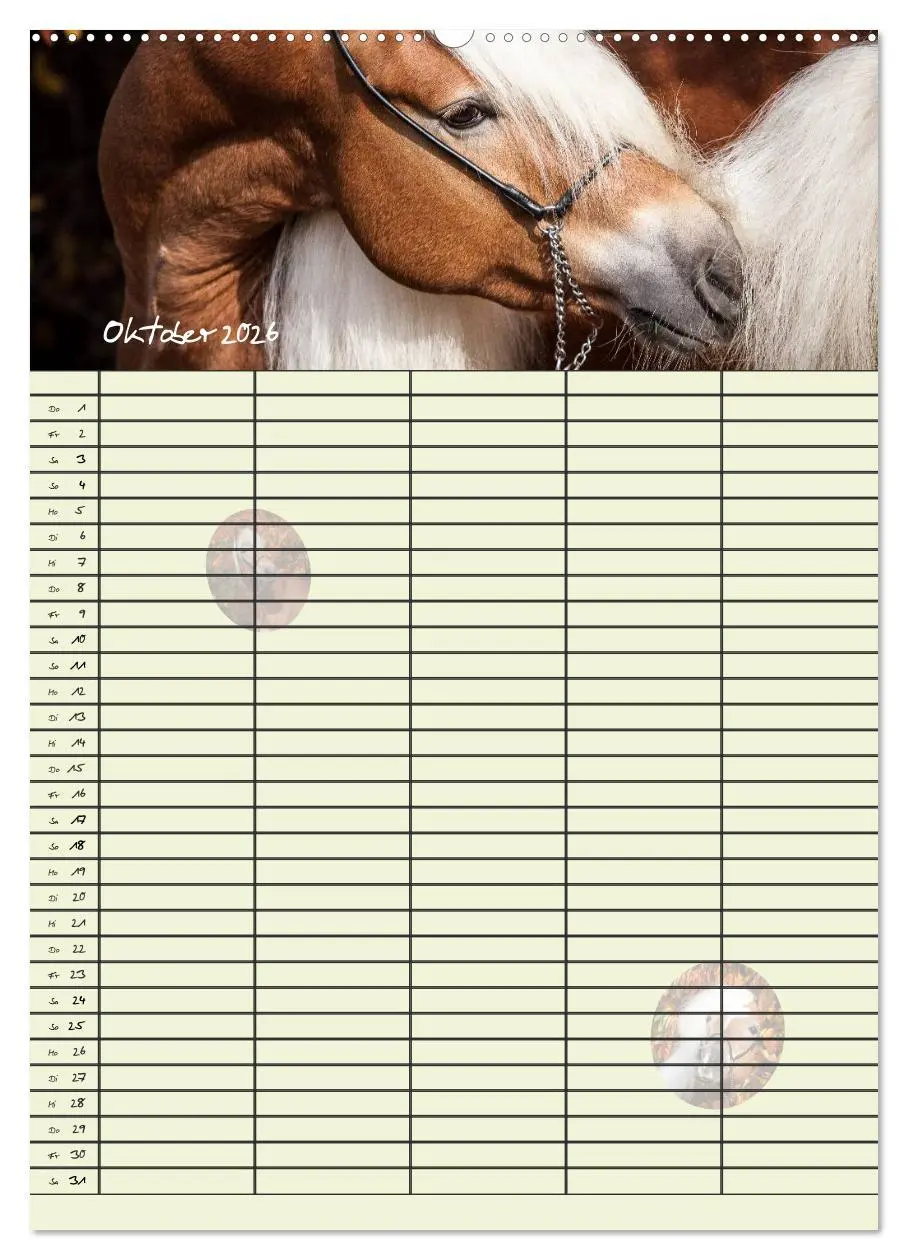 Bild: 9783516428612 | Haflinger Pferde - Stall- und Familienplaner 2026 (hochwertiger...