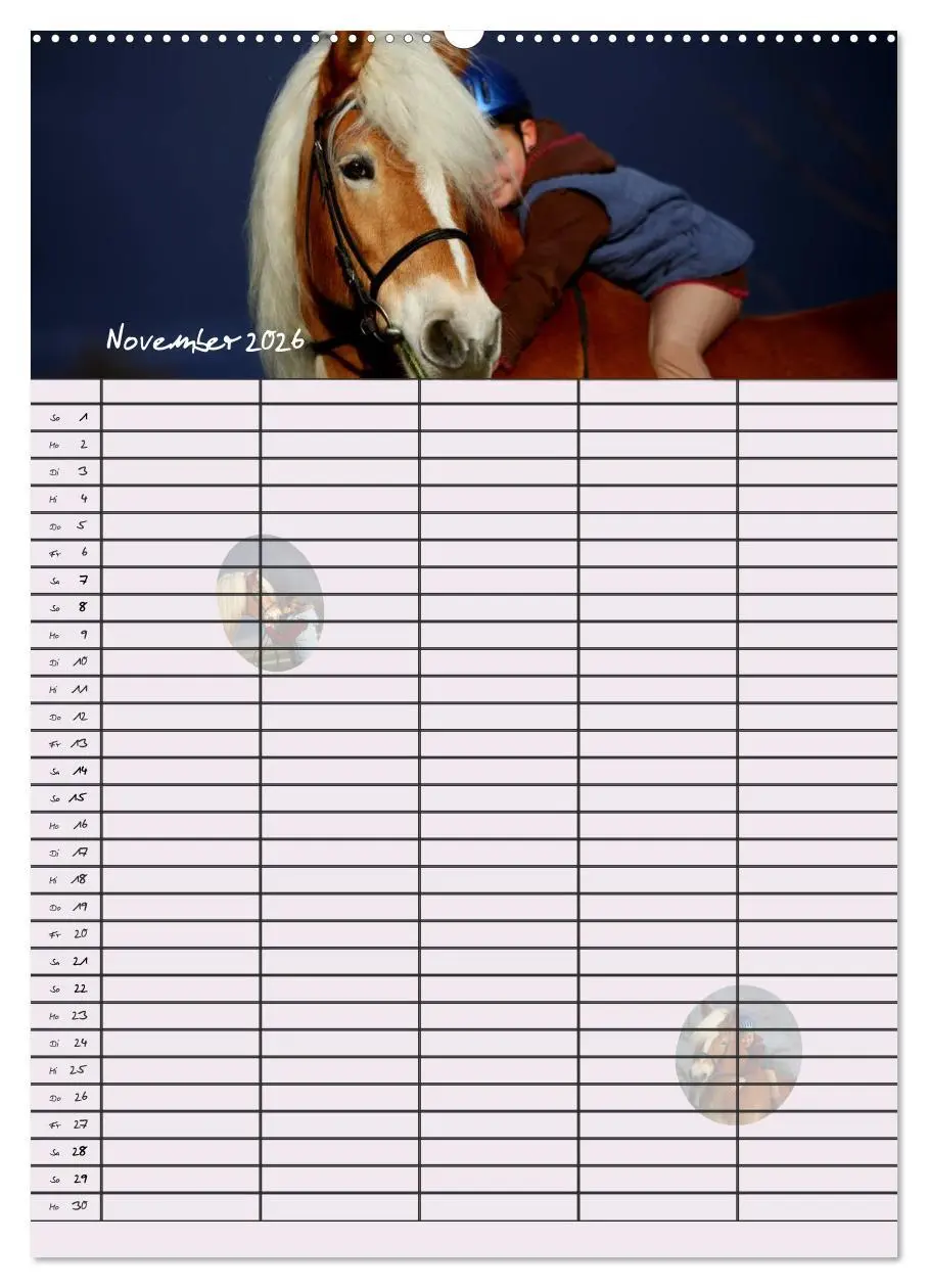 Bild: 9783516428612 | Haflinger Pferde - Stall- und Familienplaner 2026 (hochwertiger...