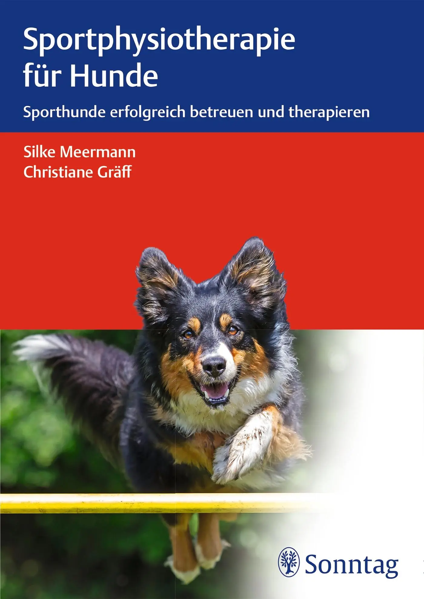 Cover: 9783132058712 | Sportphysiotherapie für Hunde | Silke Meermann (u. a.) | Buch | 328 S.