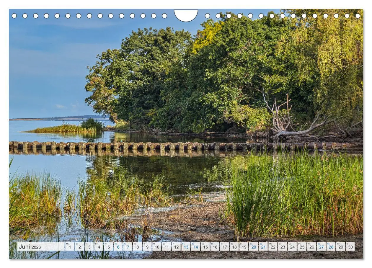 Bild: 9783457258712 | Rügenliebe 2026 (Wandkalender 2026 DIN A4 quer), CALVENDO...
