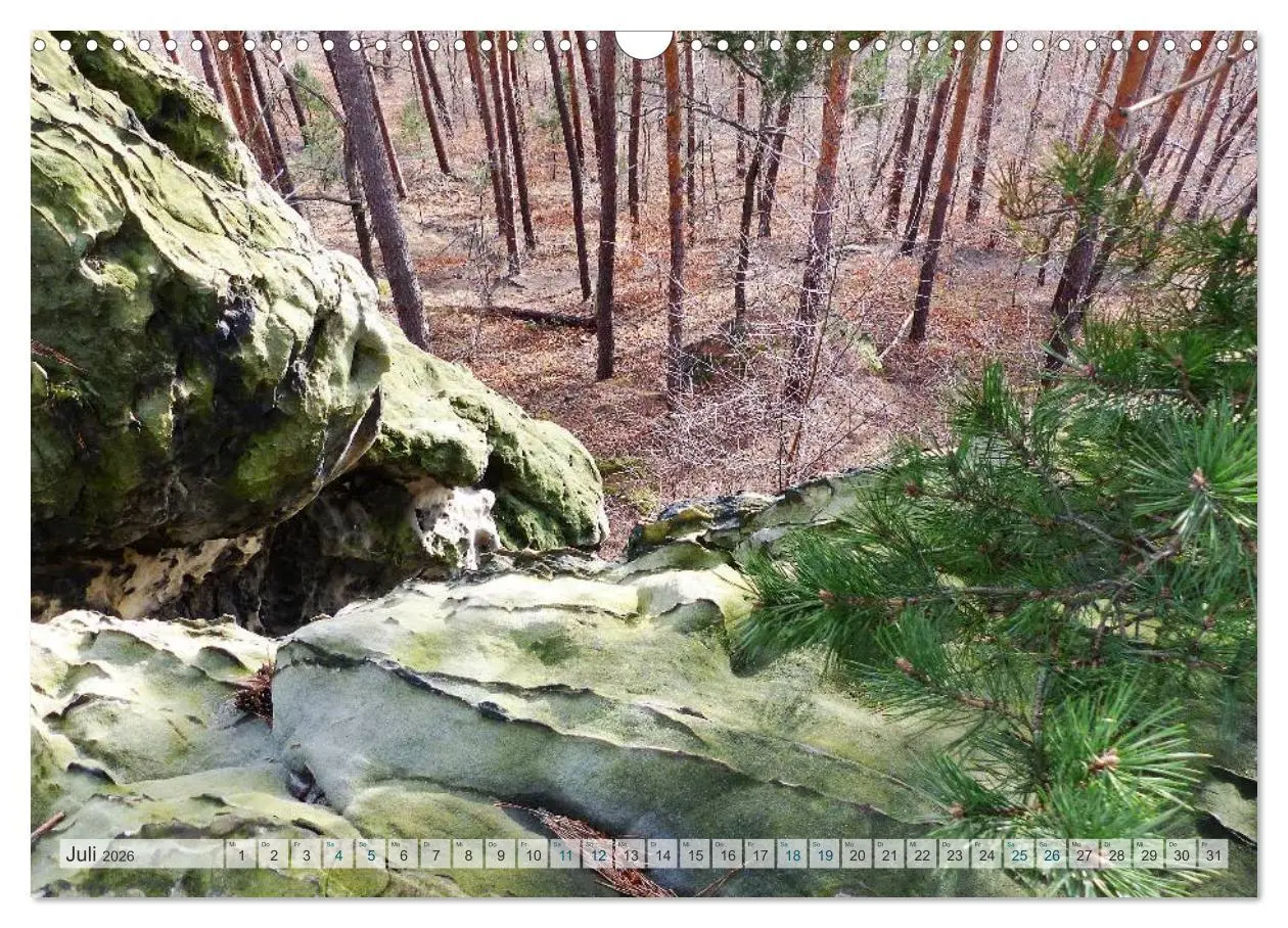Bild: 9783457948712 | Blankenburg im Harz (Wandkalender 2026 DIN A3 quer), CALVENDO...