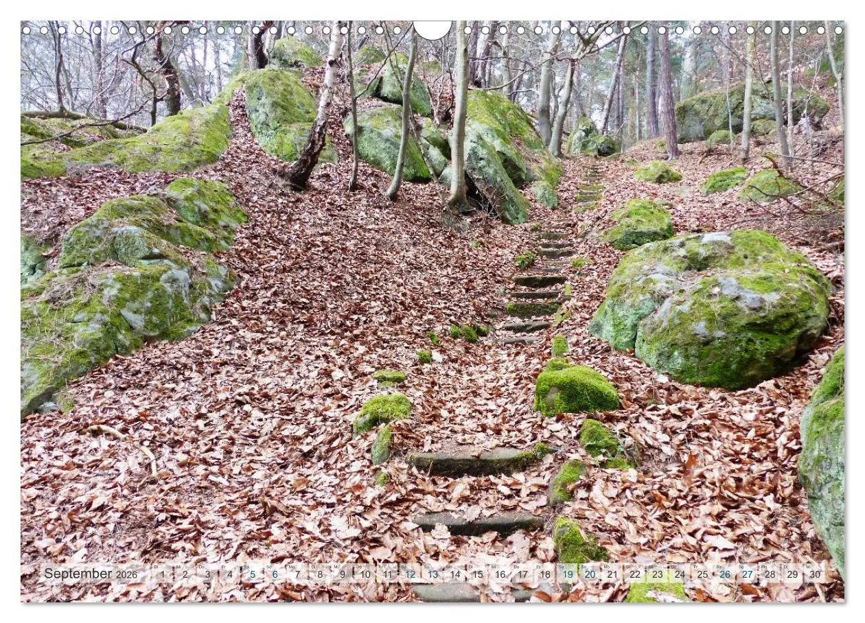 Bild: 9783457948712 | Blankenburg im Harz (Wandkalender 2026 DIN A3 quer), CALVENDO...