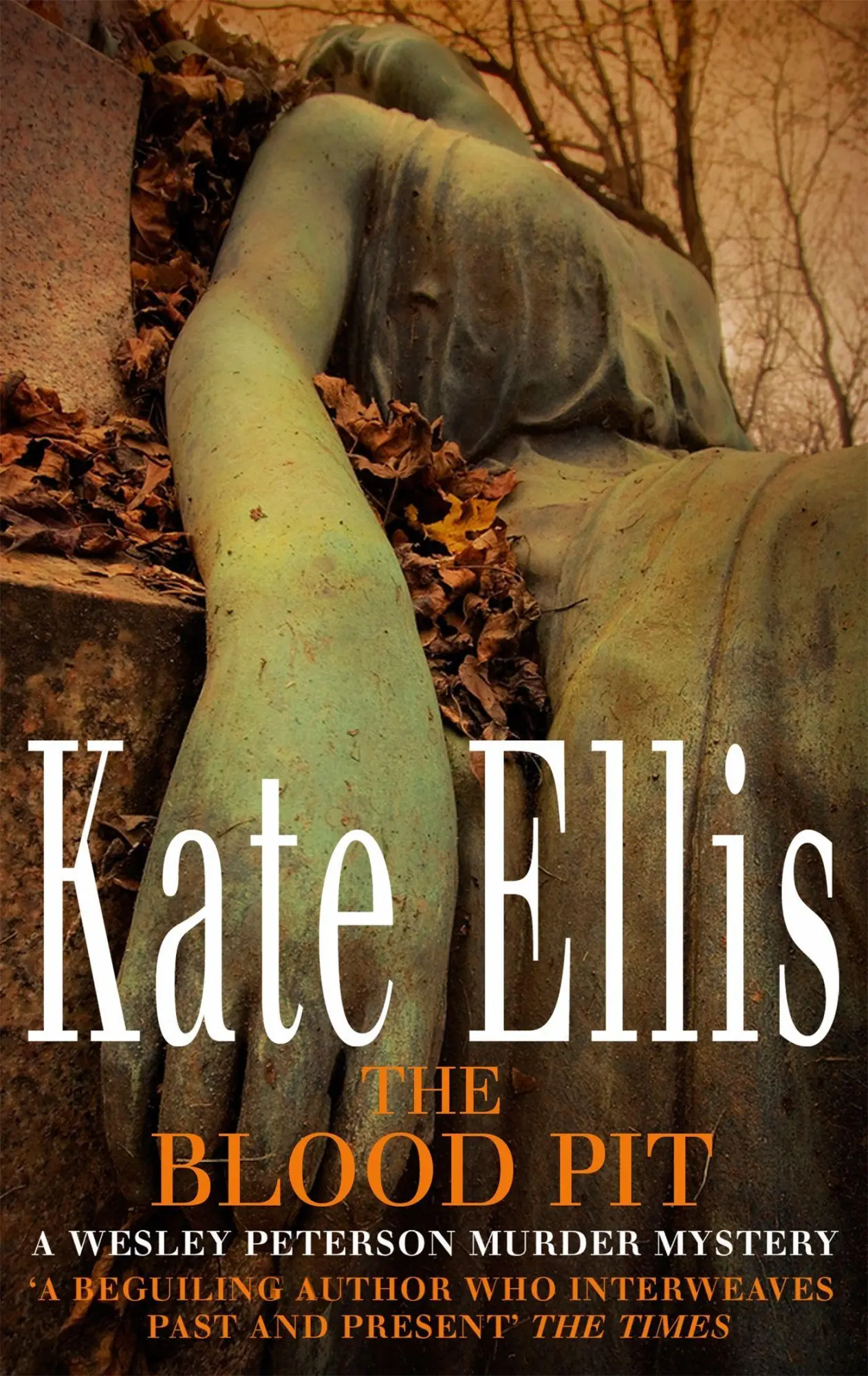 Cover: 9780749908812 | The Blood Pit | Book 12 in the DI Wesley Peterson crime series | Ellis