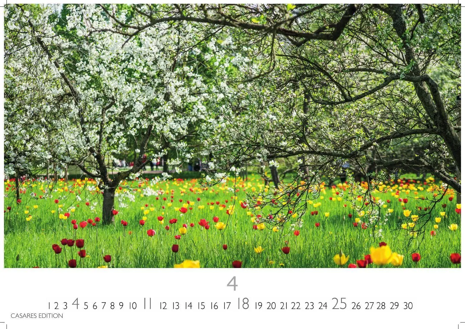 Bild: 9781835248812 | Gartenparadiese Kalender 2027- Der Kalender für alle, die Gärten...